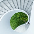 woman standing spiral stairs