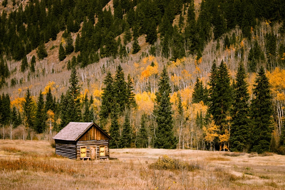 A lone log cabin at the foot of a wooded mountain