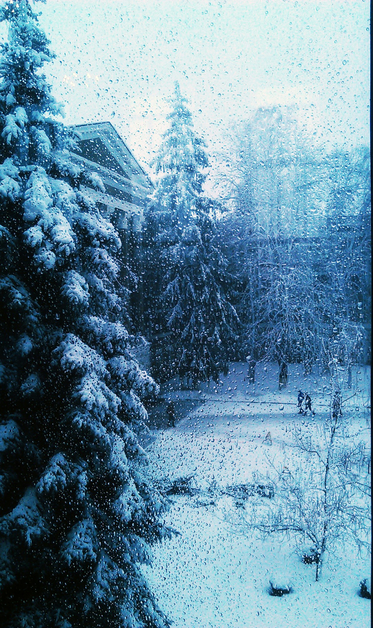 Free Unsplash photo from Daria Kulaga