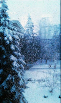Window washing in progress on a two-story house with snow-capped trees in the background.