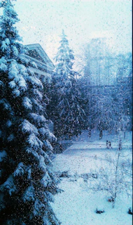 Window washing in progress on a two-story house with snow-capped trees in the background.
