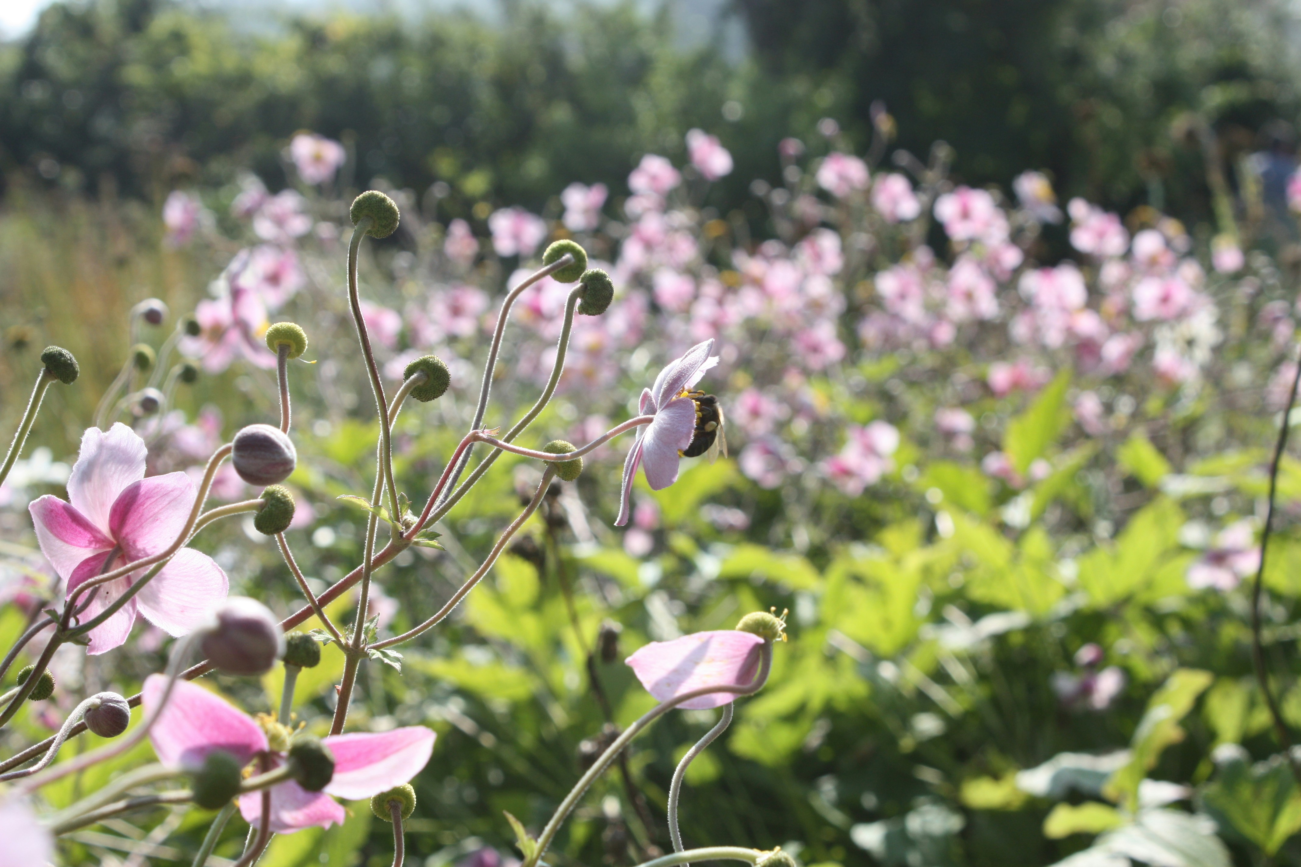 Free Unsplash photo from Lauren Emil