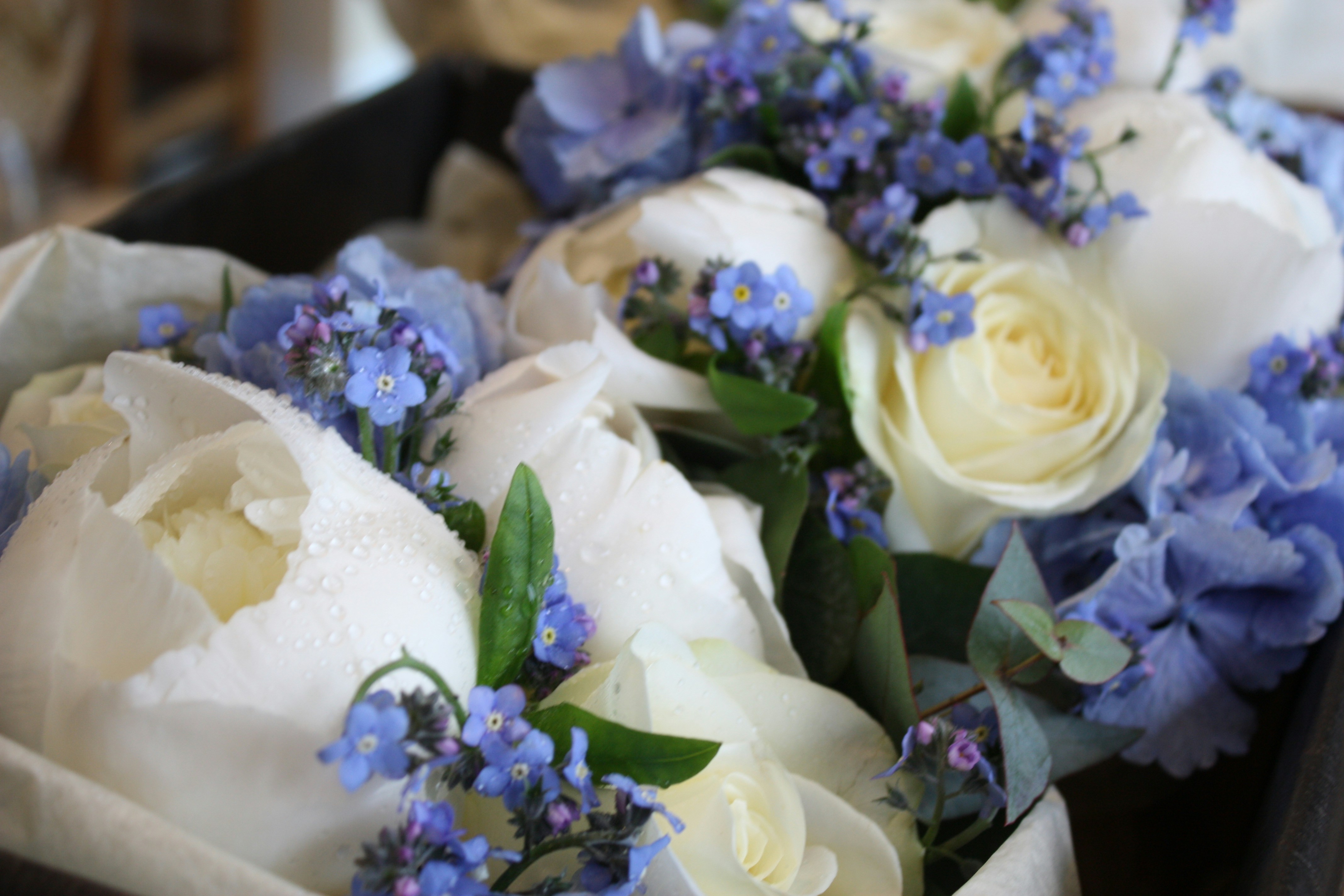 Free Unsplash photo from Lauren Emil