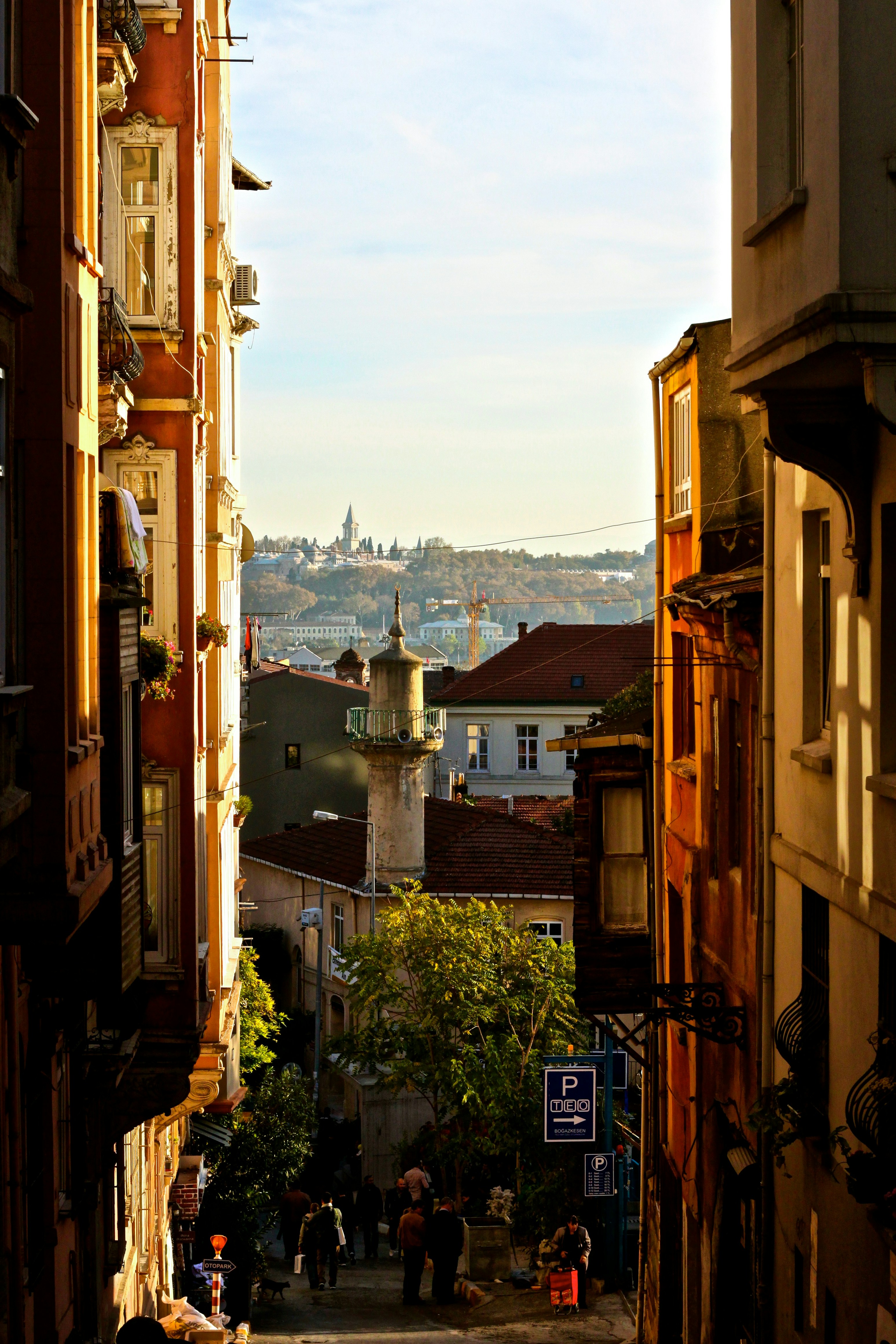 Free Unsplash photo from Felix Plakolb