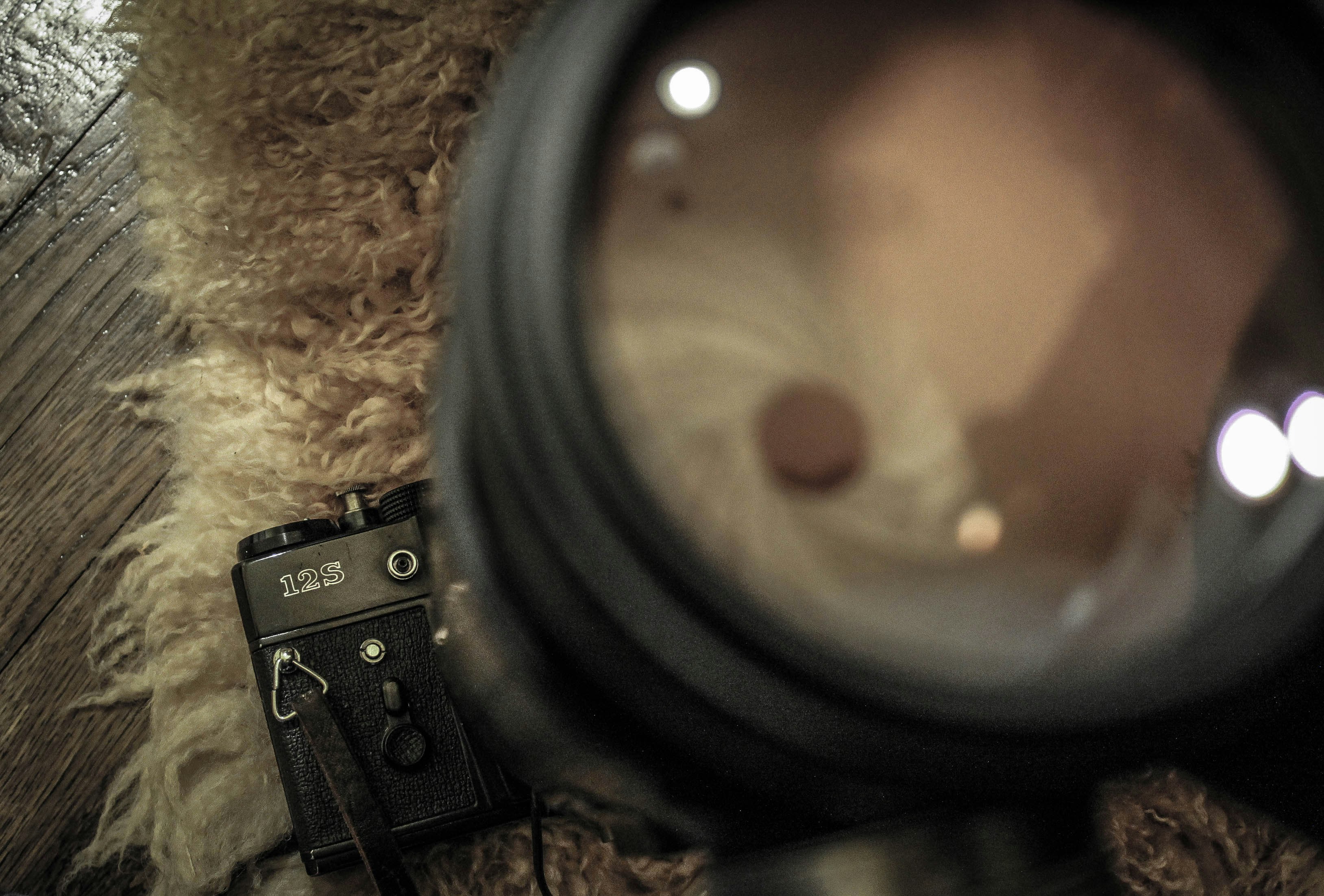 Free Unsplash photo from sergiu zanoaga