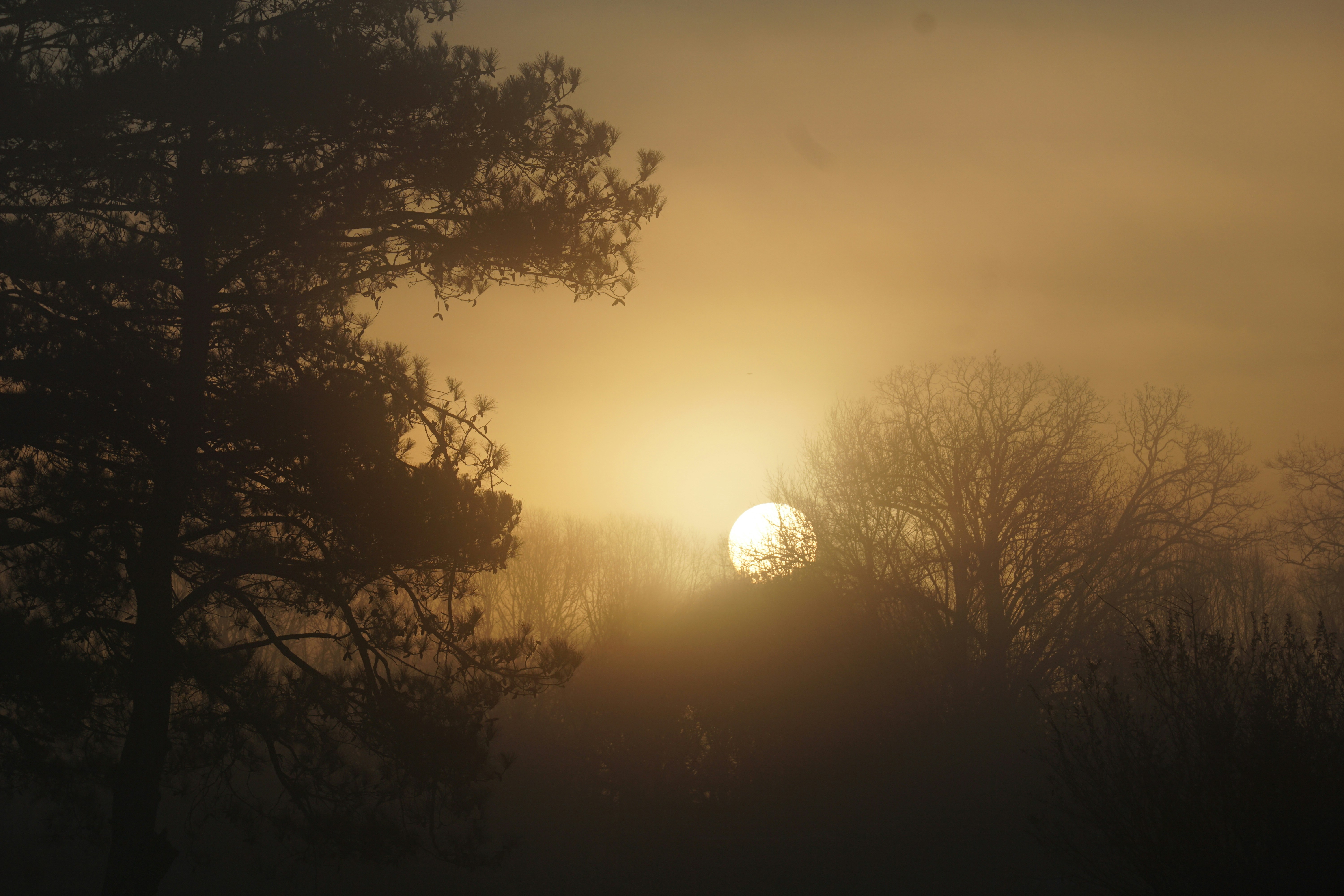 Free Unsplash photo from Chris Holmes