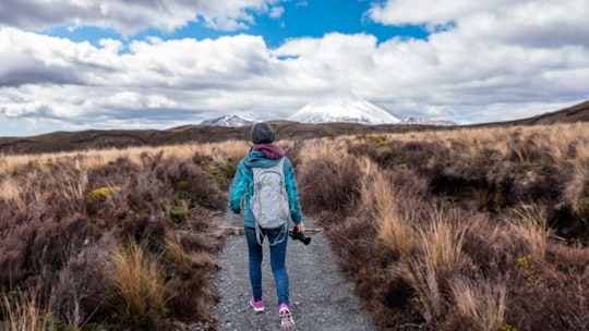person walking in the middle of grass field in Tongariro National Park New Zealand