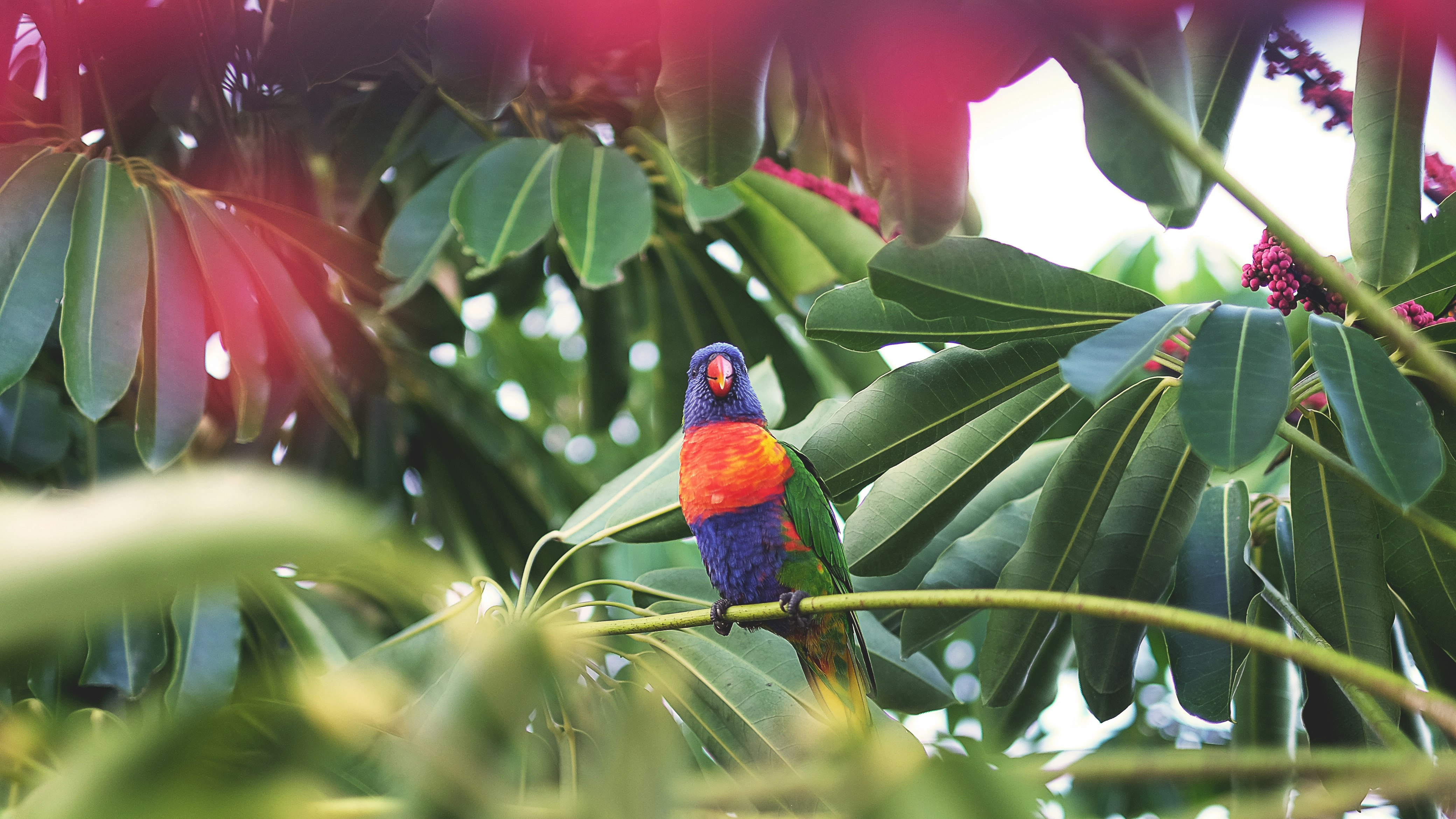 bird on tree