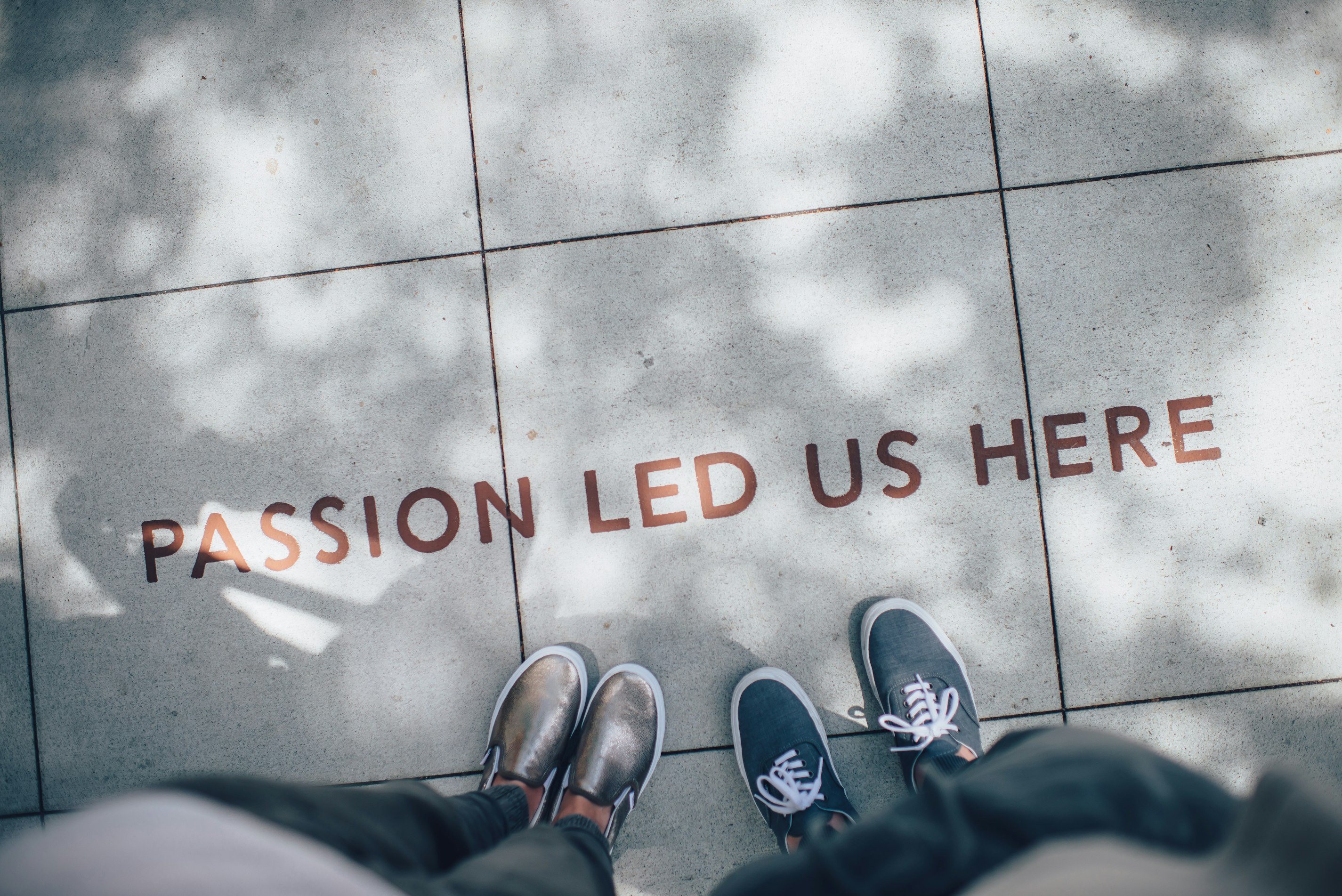 Passion led us here; follow your passion, utilize your skills, find what fits best for you during the job search