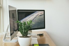 A workspace featuring two computer monitors, one displaying an Earth image and the other a website. On the wooden desk, there's a green potted plant in front of the monitors, along with a white keyboard and a pair of glasses.
