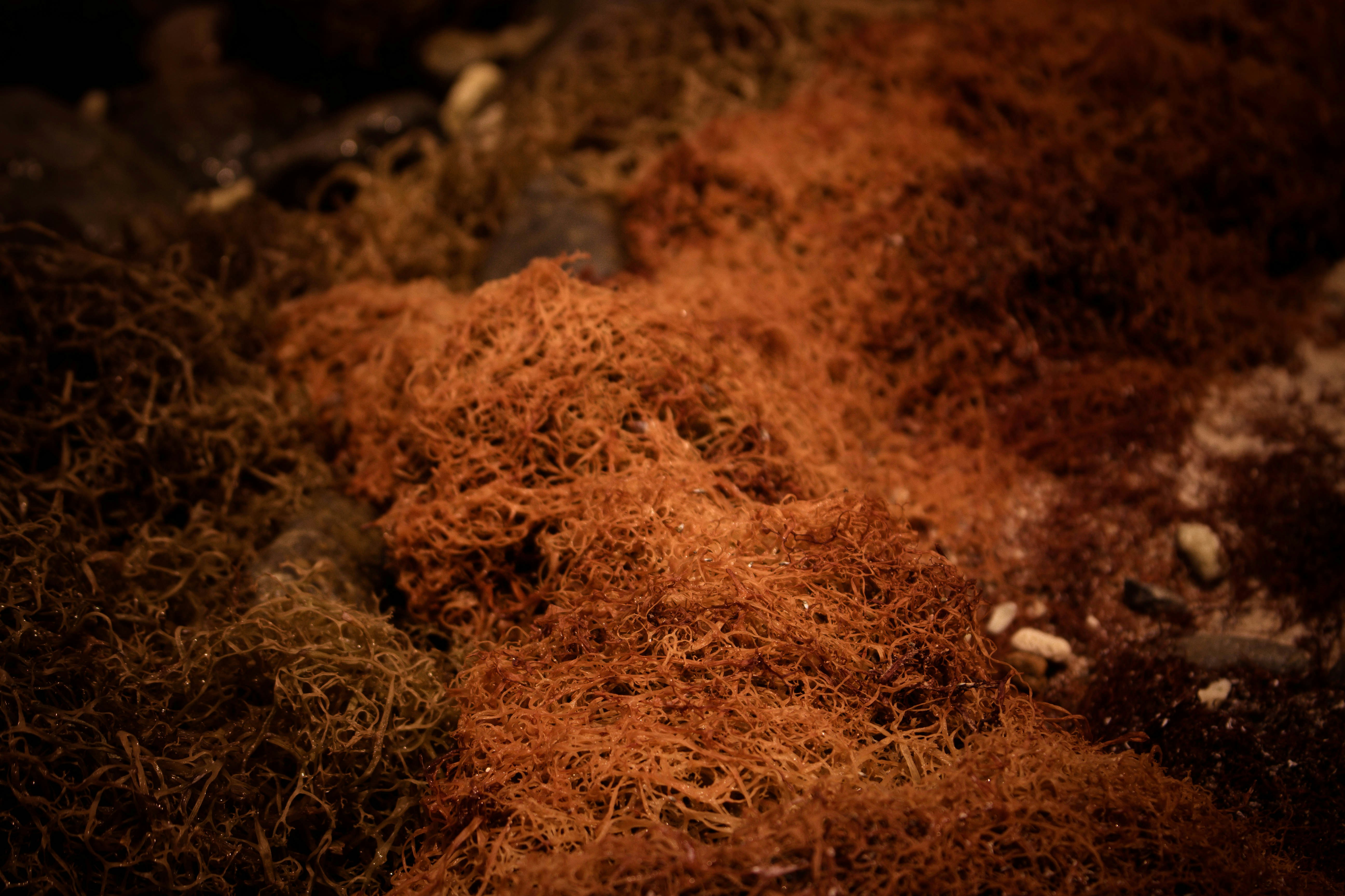 Free Unsplash photo from Ly Gia Phu