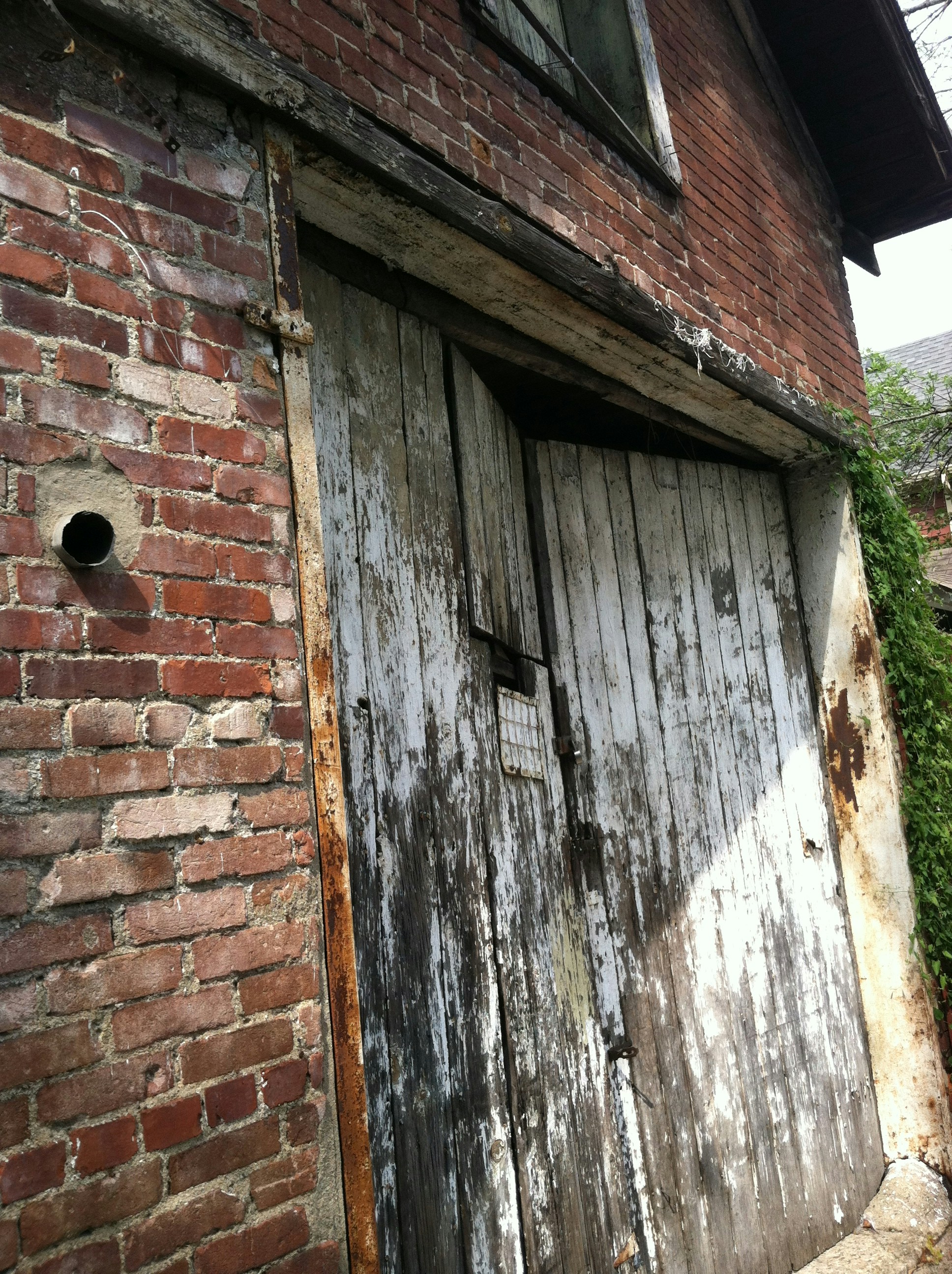 Free Unsplash photo from JoAnn Burns