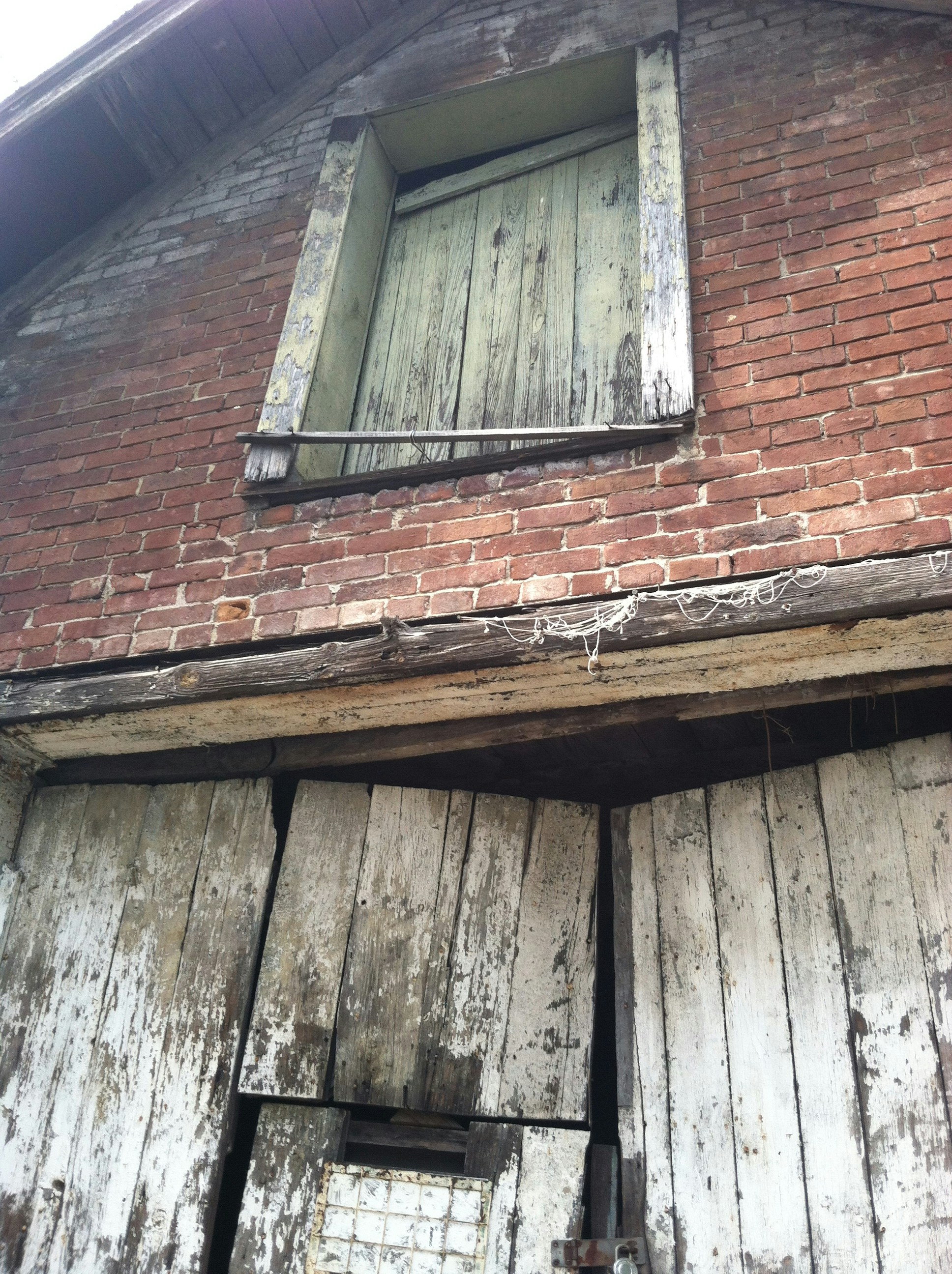 Free Unsplash photo from JoAnn Burns