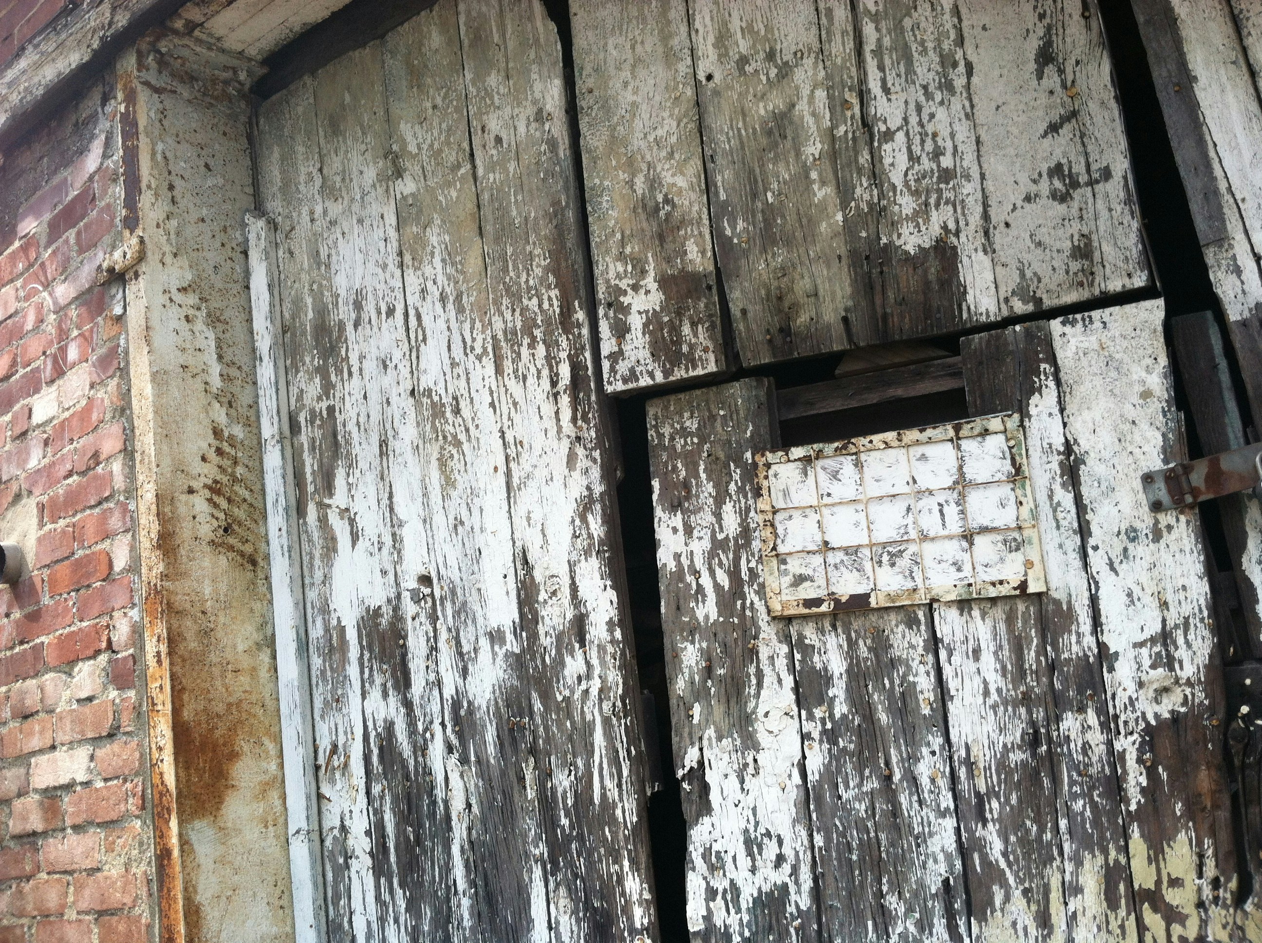 Free Unsplash photo from JoAnn Burns