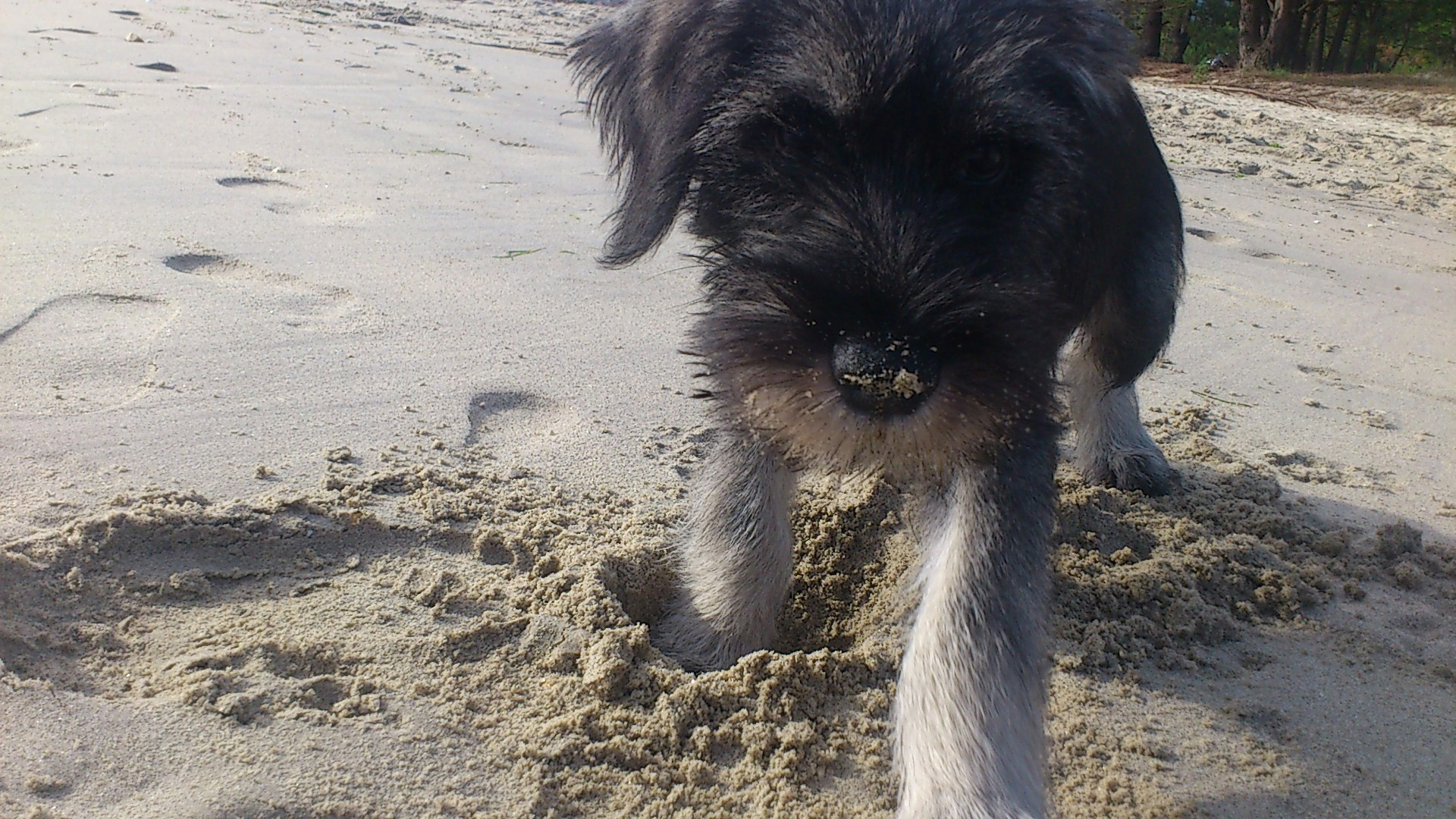 Free Unsplash photo from Isa Pere