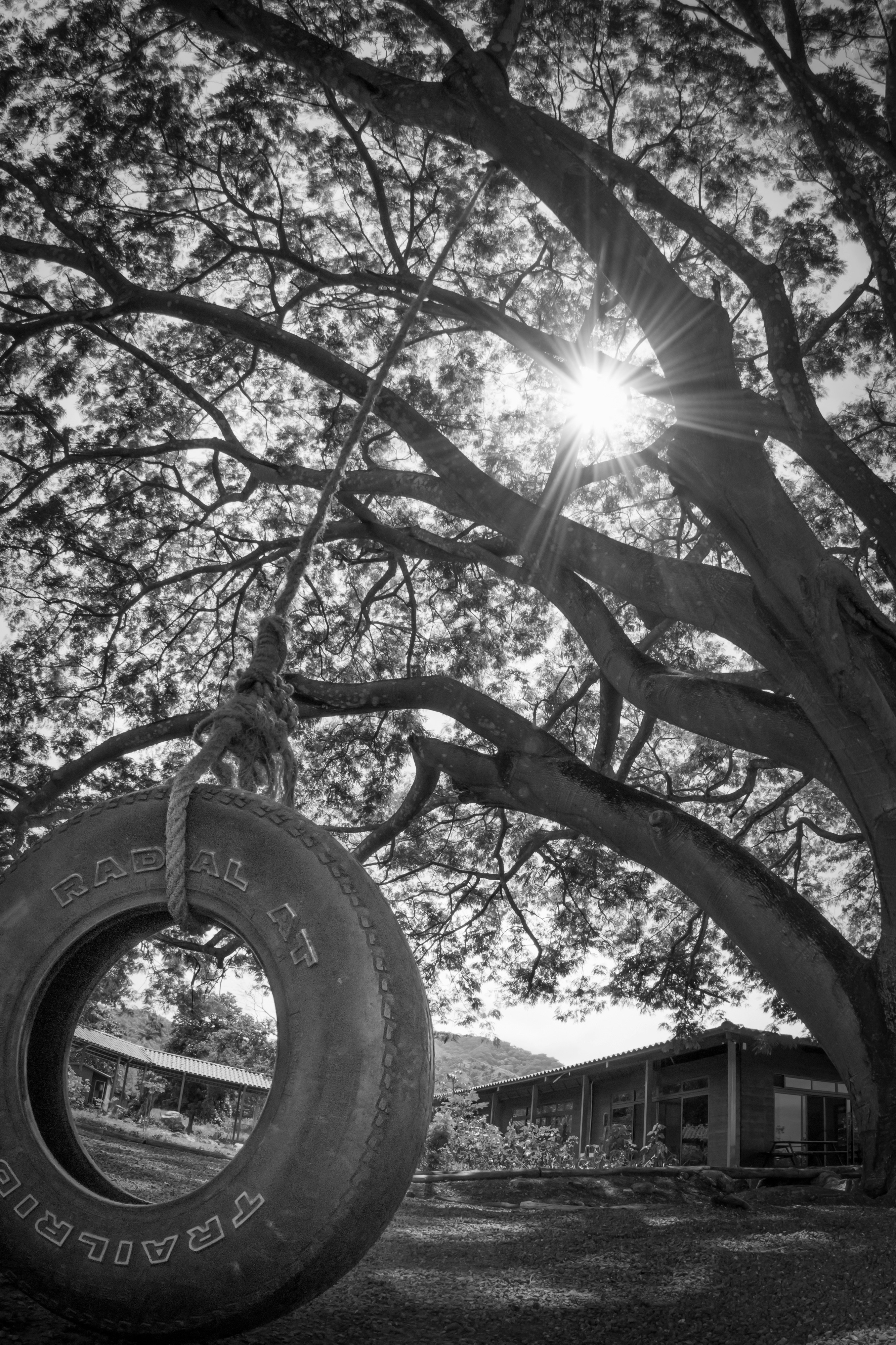 Free Unsplash photo from Sean Norton