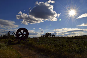 Modern farm machinery in action under a bright blue sky