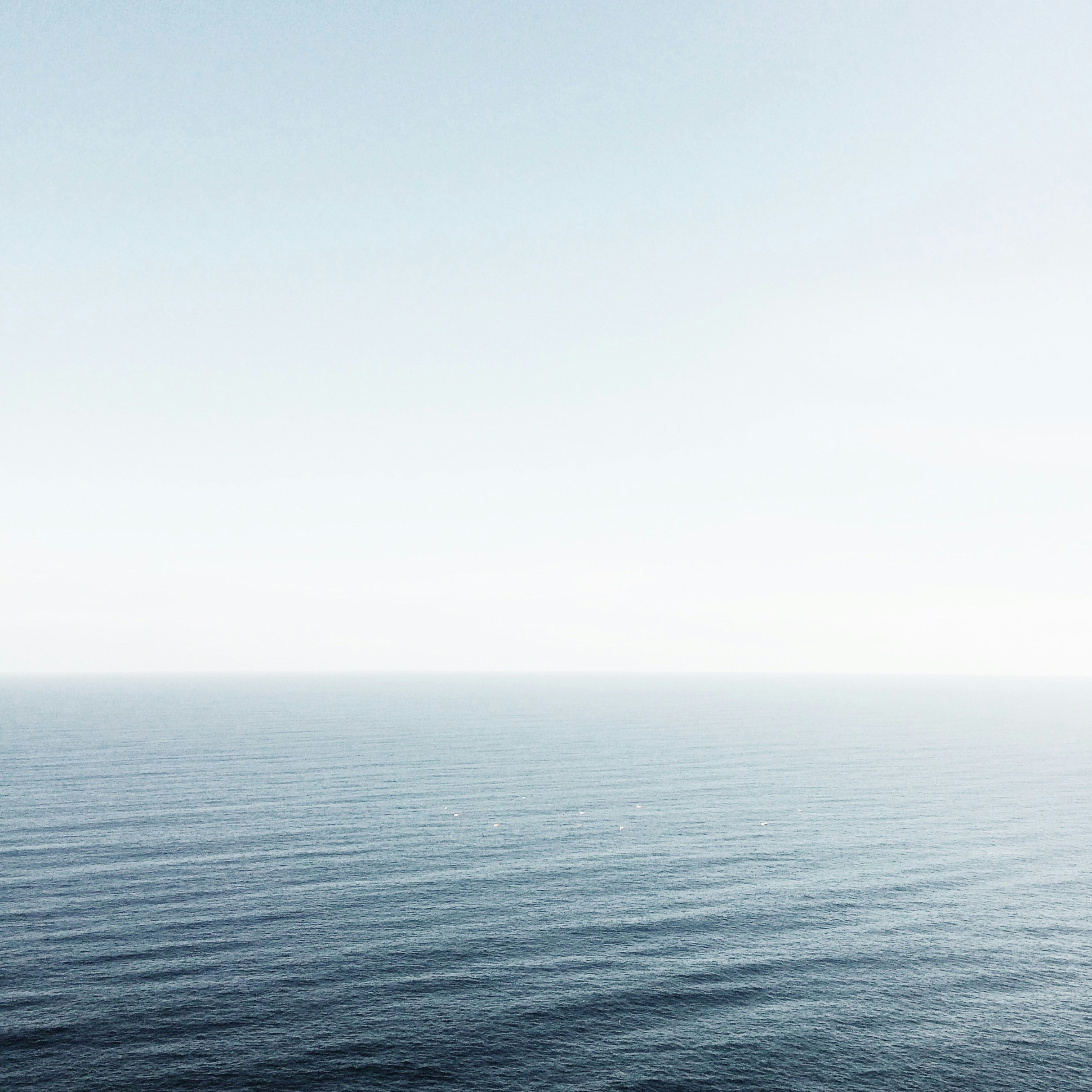 Free Unsplash photo from elizabeth lies