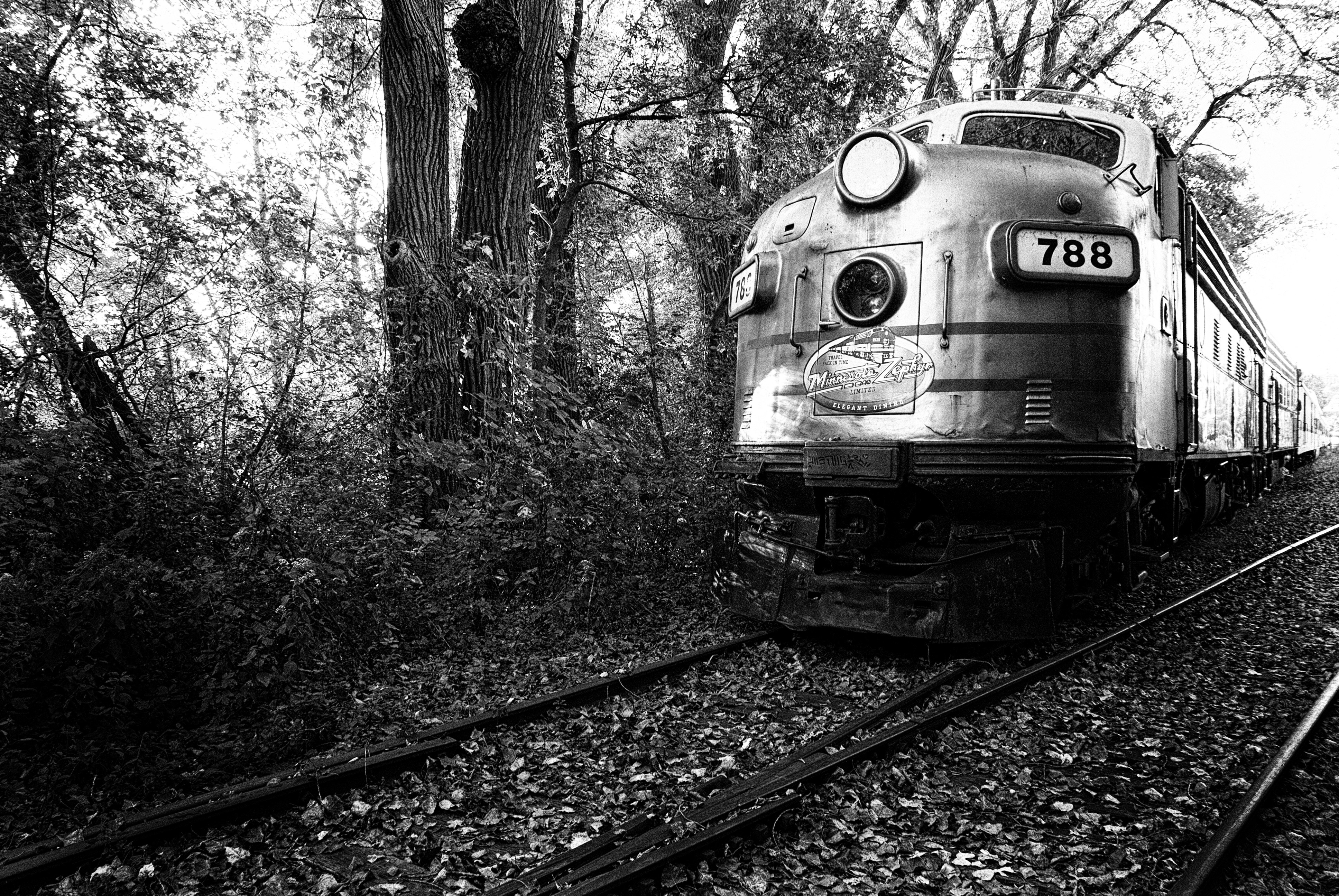 Photo By Dawn Armfield