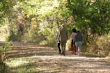 Participants walking along a wooded path under dappled sunlight