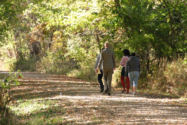 Participants walking along a wooded path under dappled sunlight