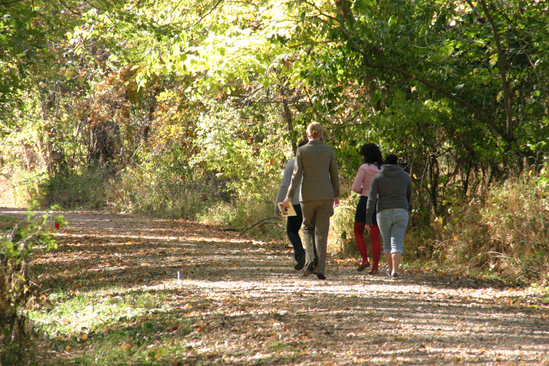 gray computer monitor