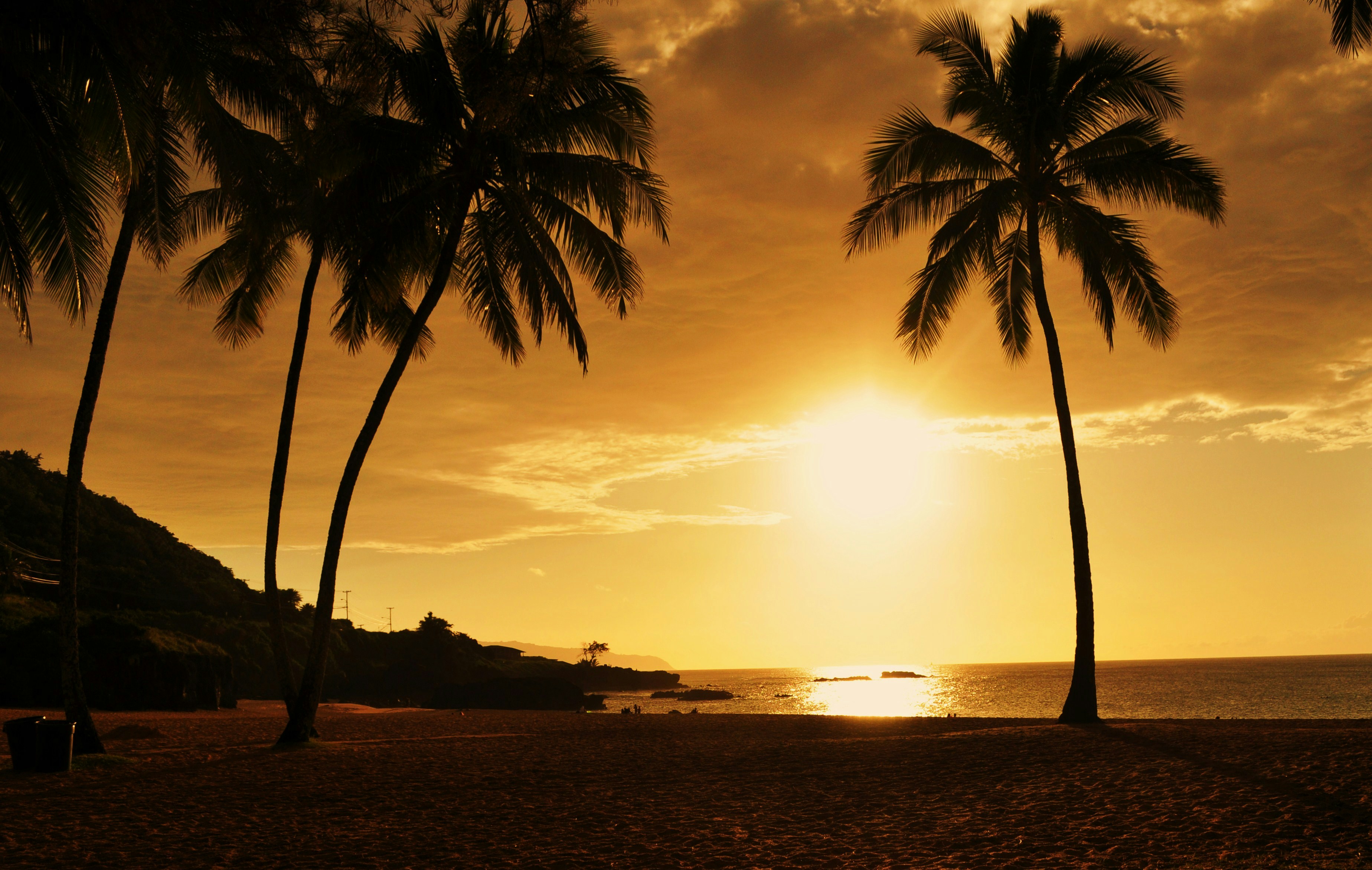 Free Unsplash photo from Ashley Pibworth