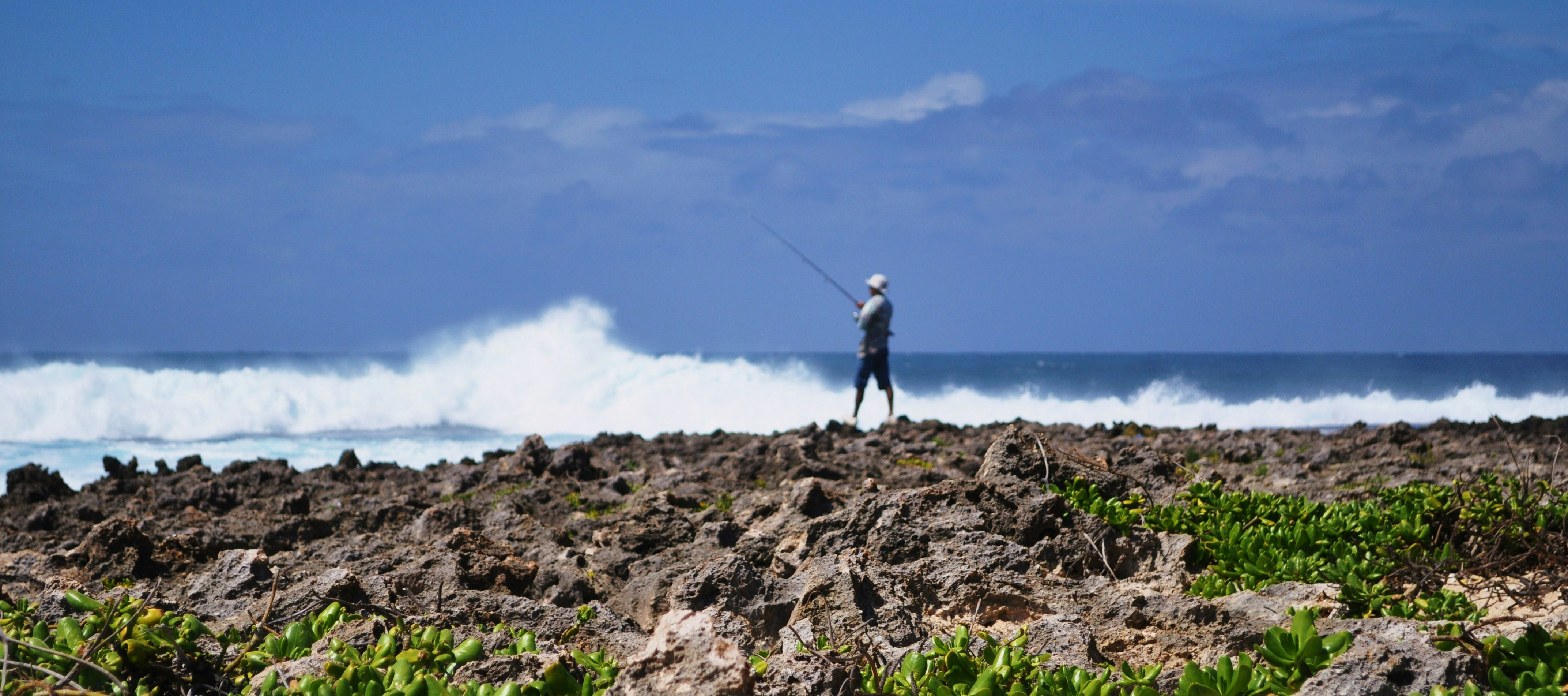 Free Unsplash photo from Ashley Pibworth