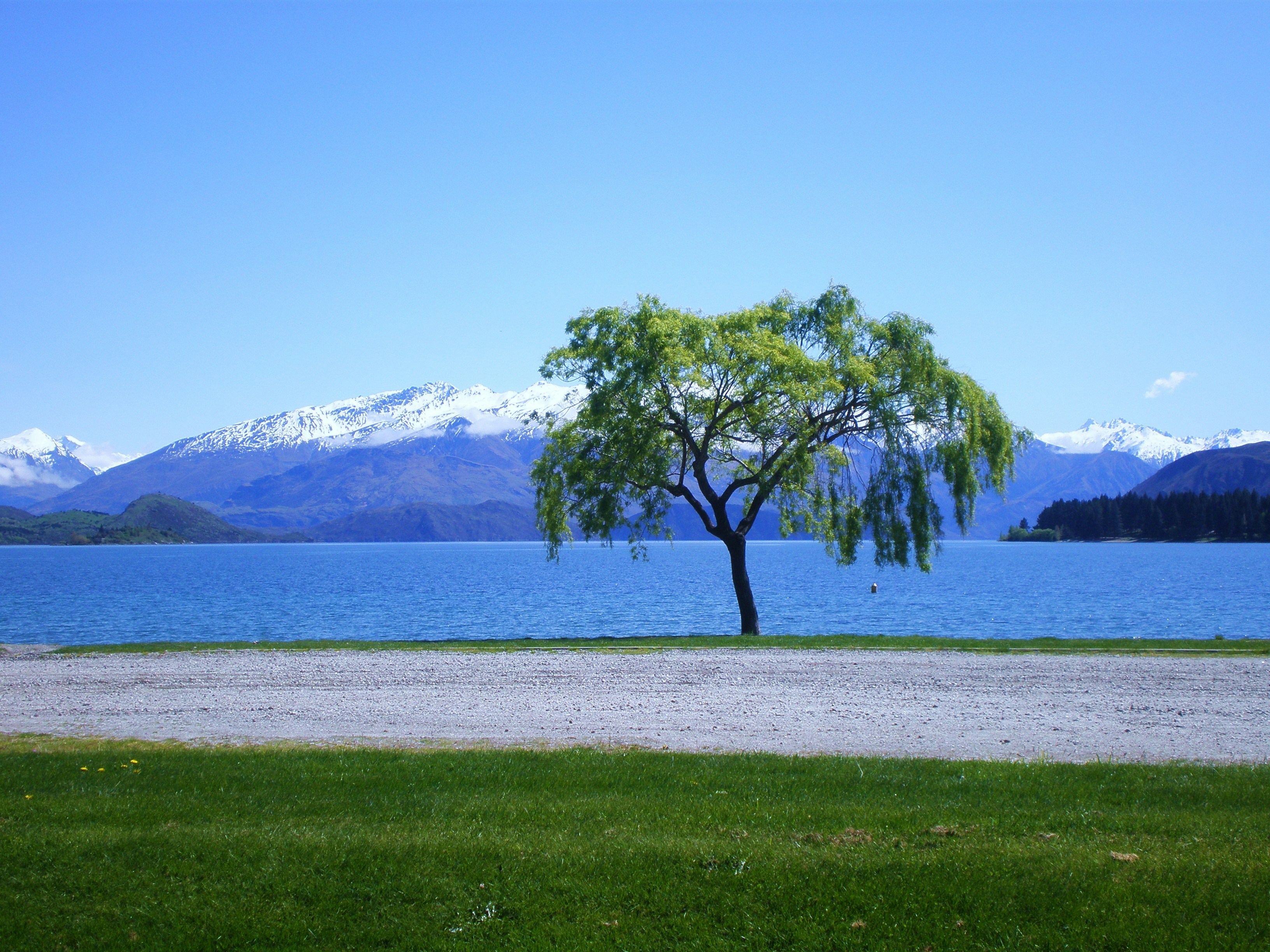 Free Unsplash photo from Ashley Pibworth