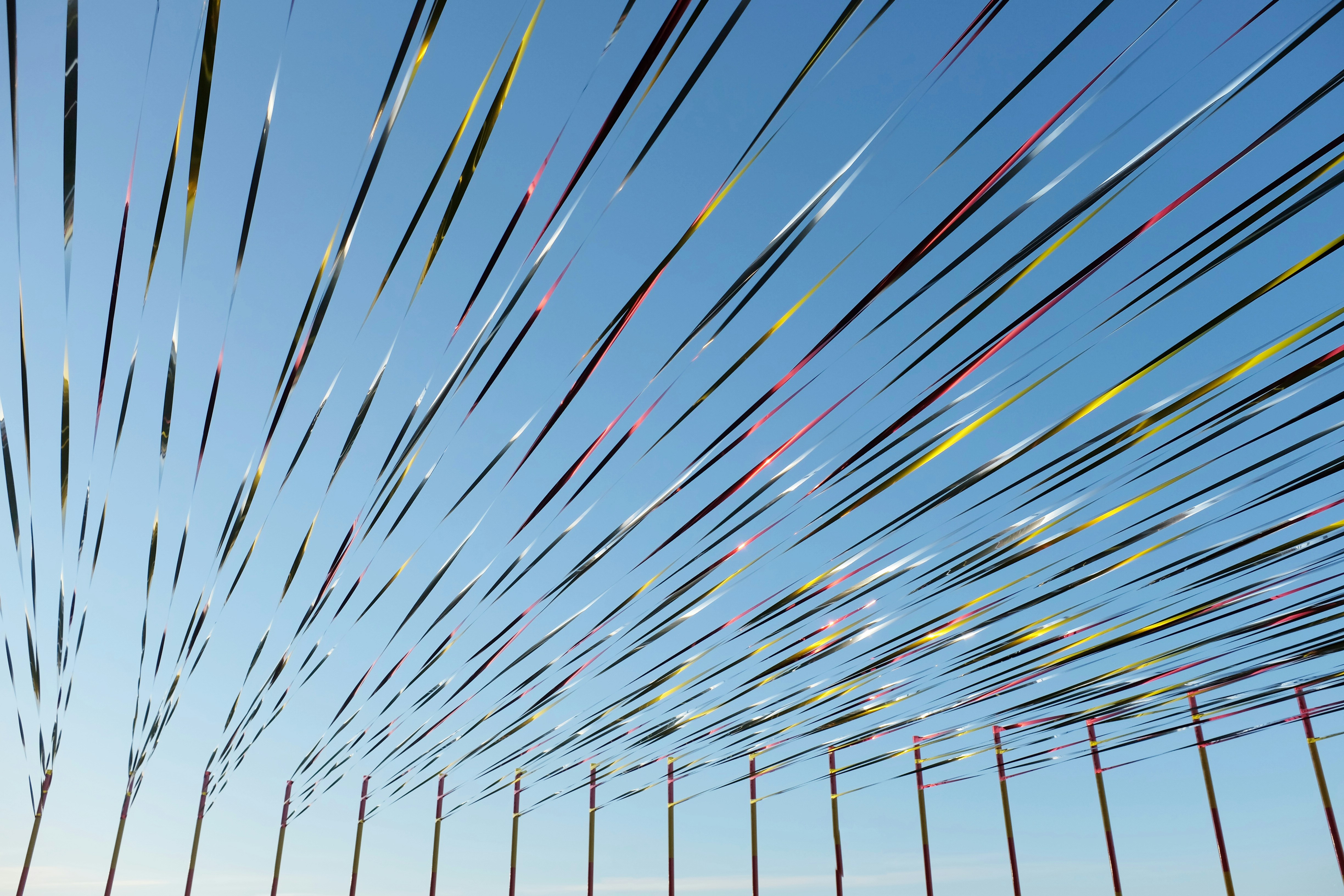 Free Unsplash photo from manu schwendener