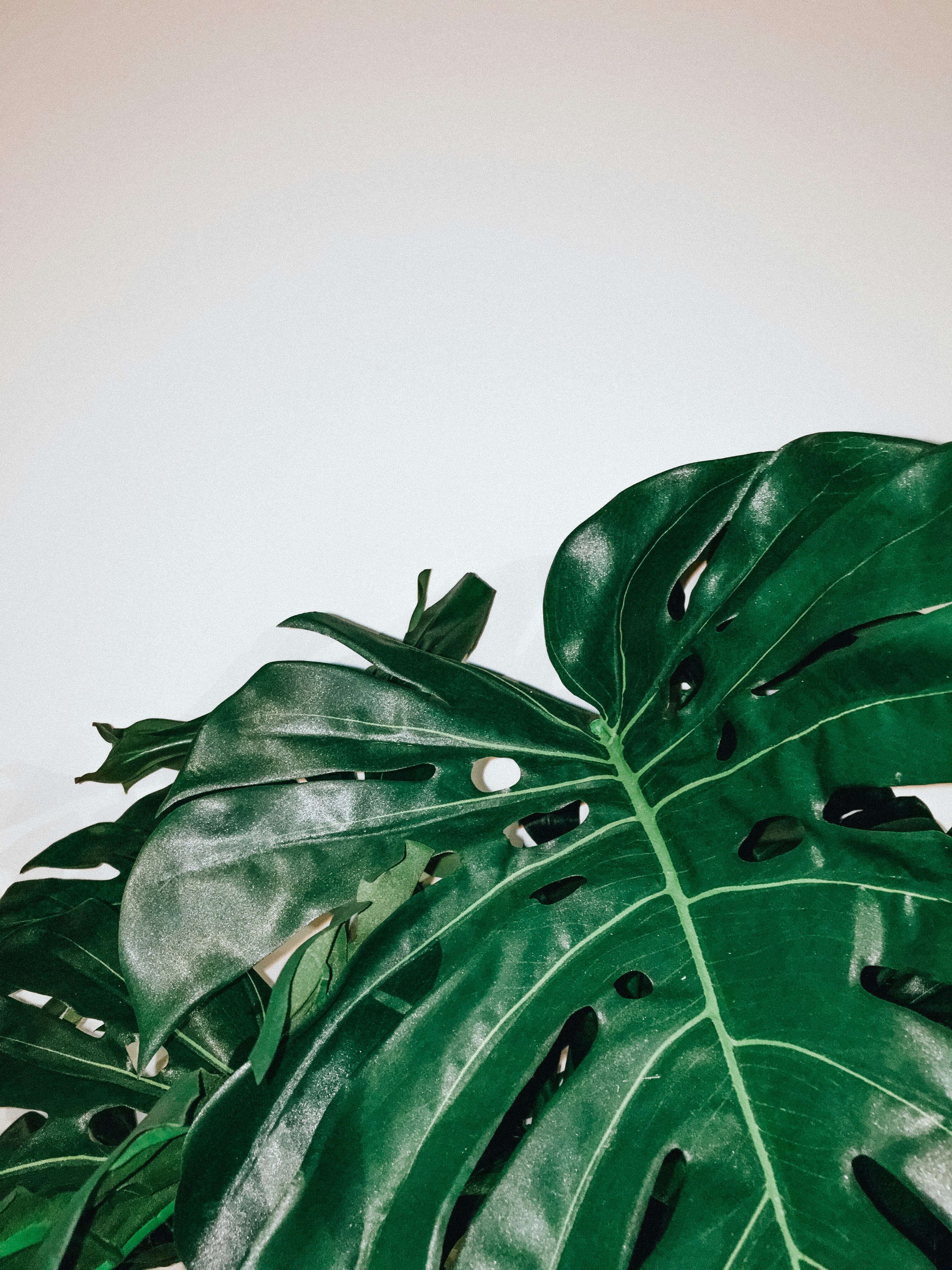 Free Unsplash photo from Roy van Drunen