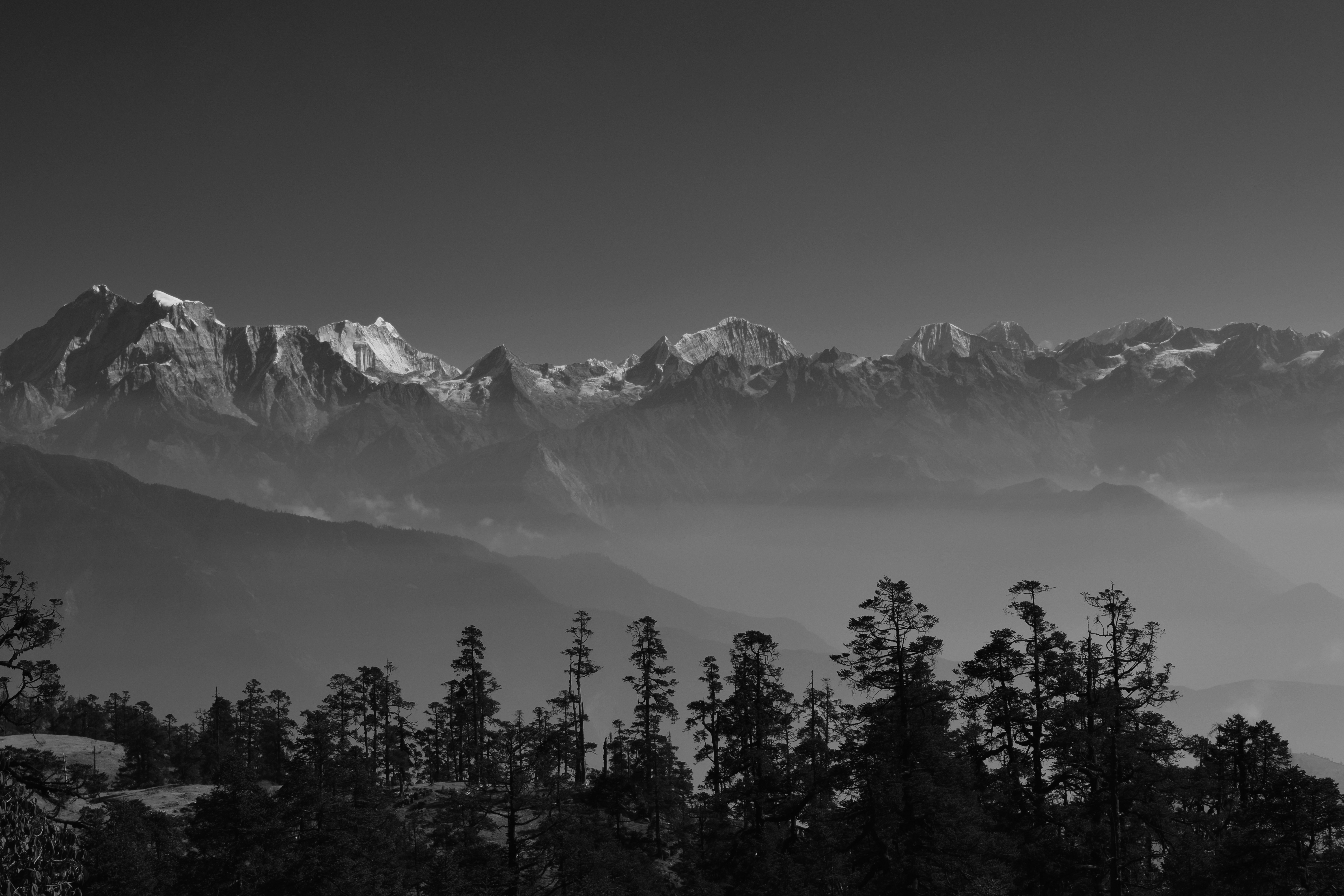 Free Unsplash photo from Prakash Aryal