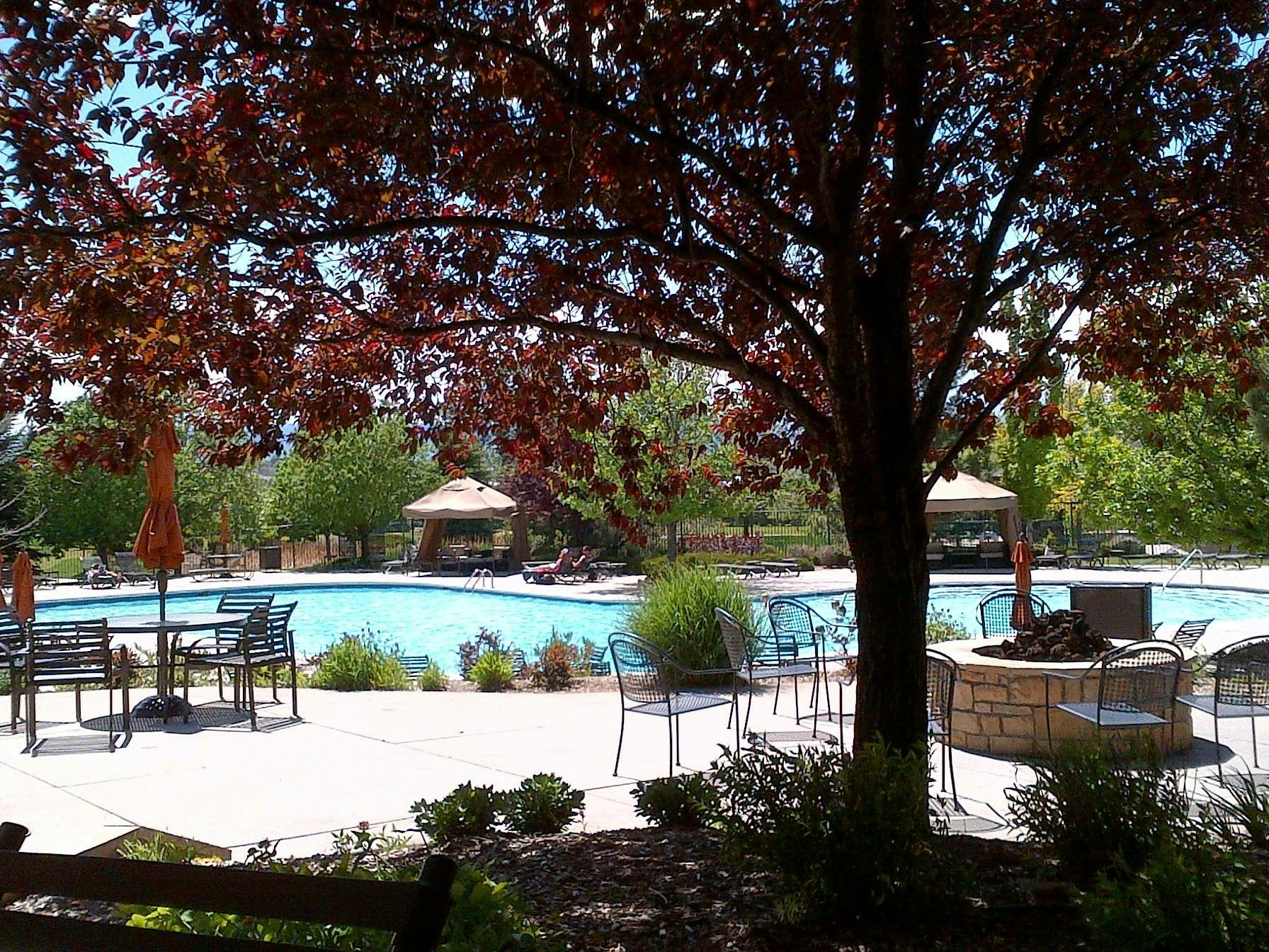 Free Unsplash photo from Sheila Shepherd