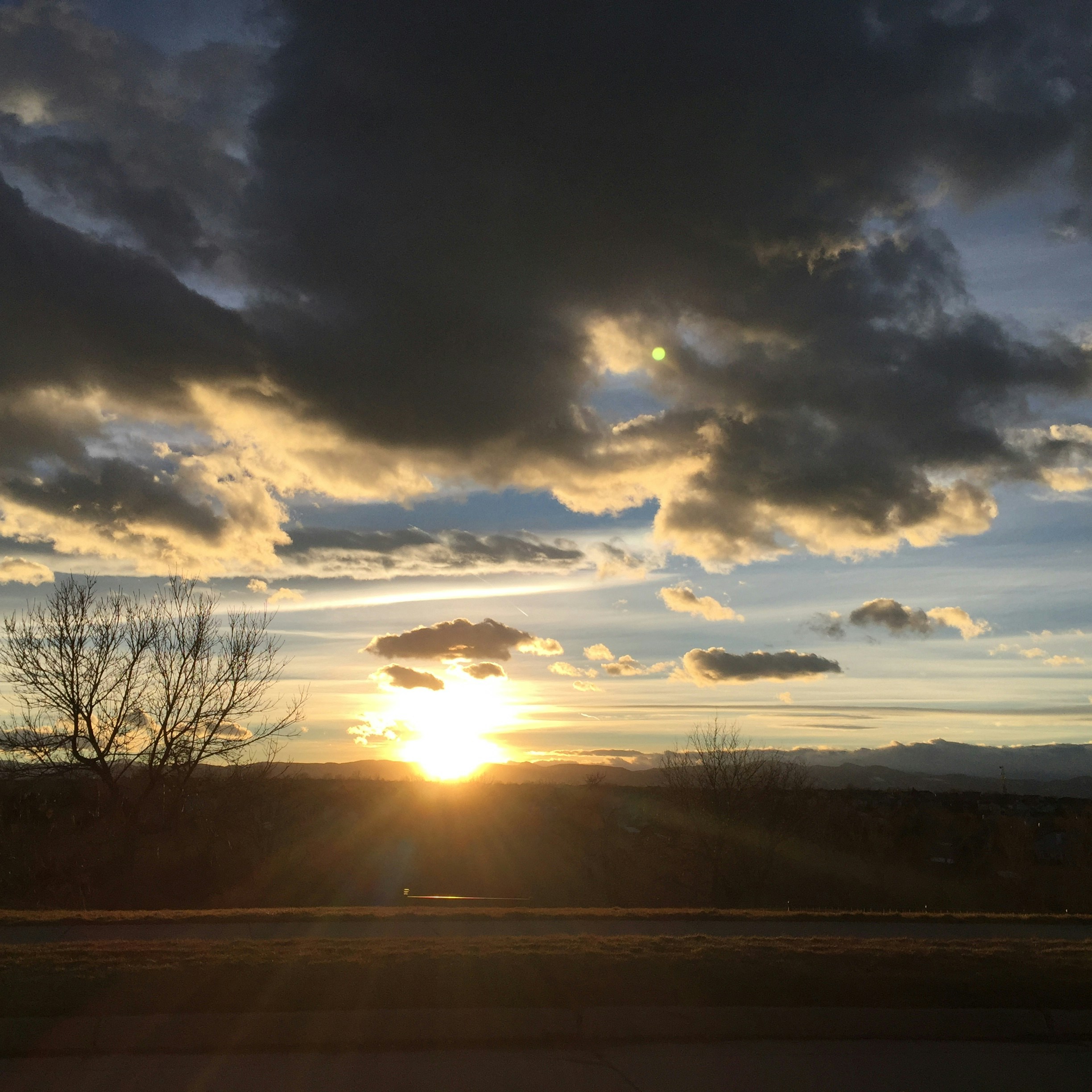 Free Unsplash photo from Sheila Shepherd