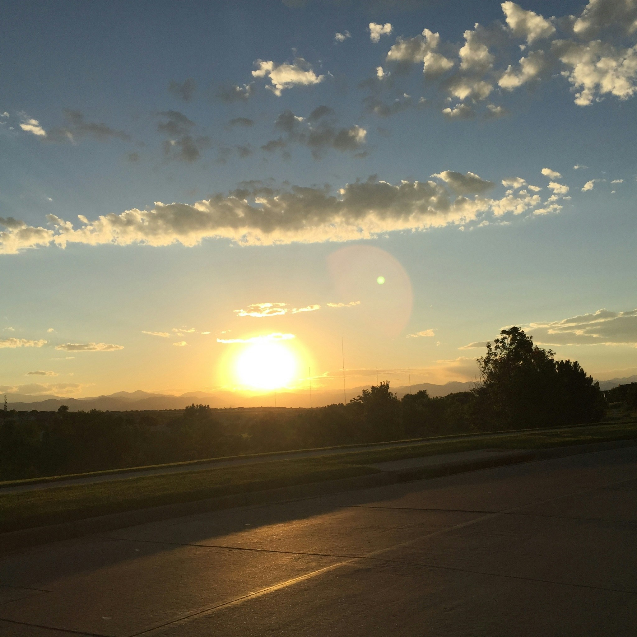 Free Unsplash photo from Sheila Shepherd