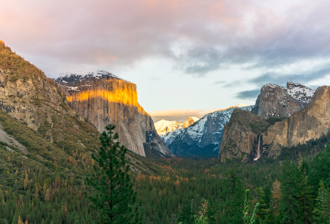 green trees surrounded with rock formations, Golden sun on El Capitan