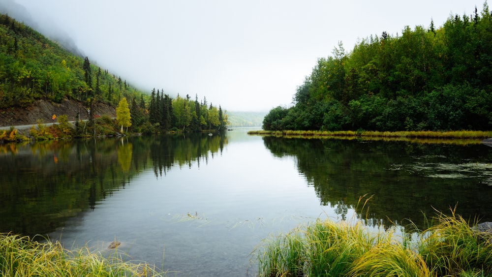 photo taken near body of water surrounded with trees