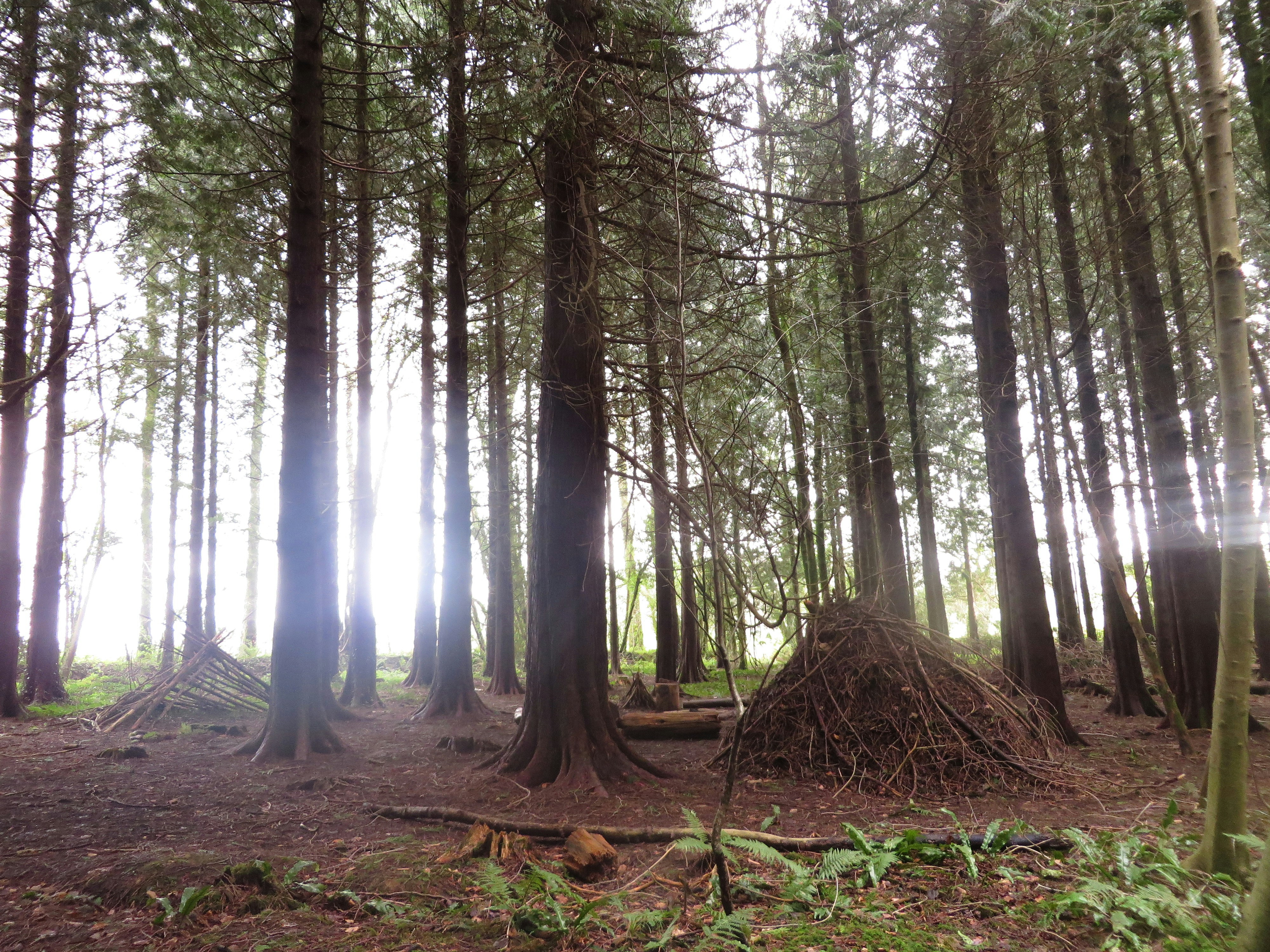 Free Unsplash photo from Karina Miotto