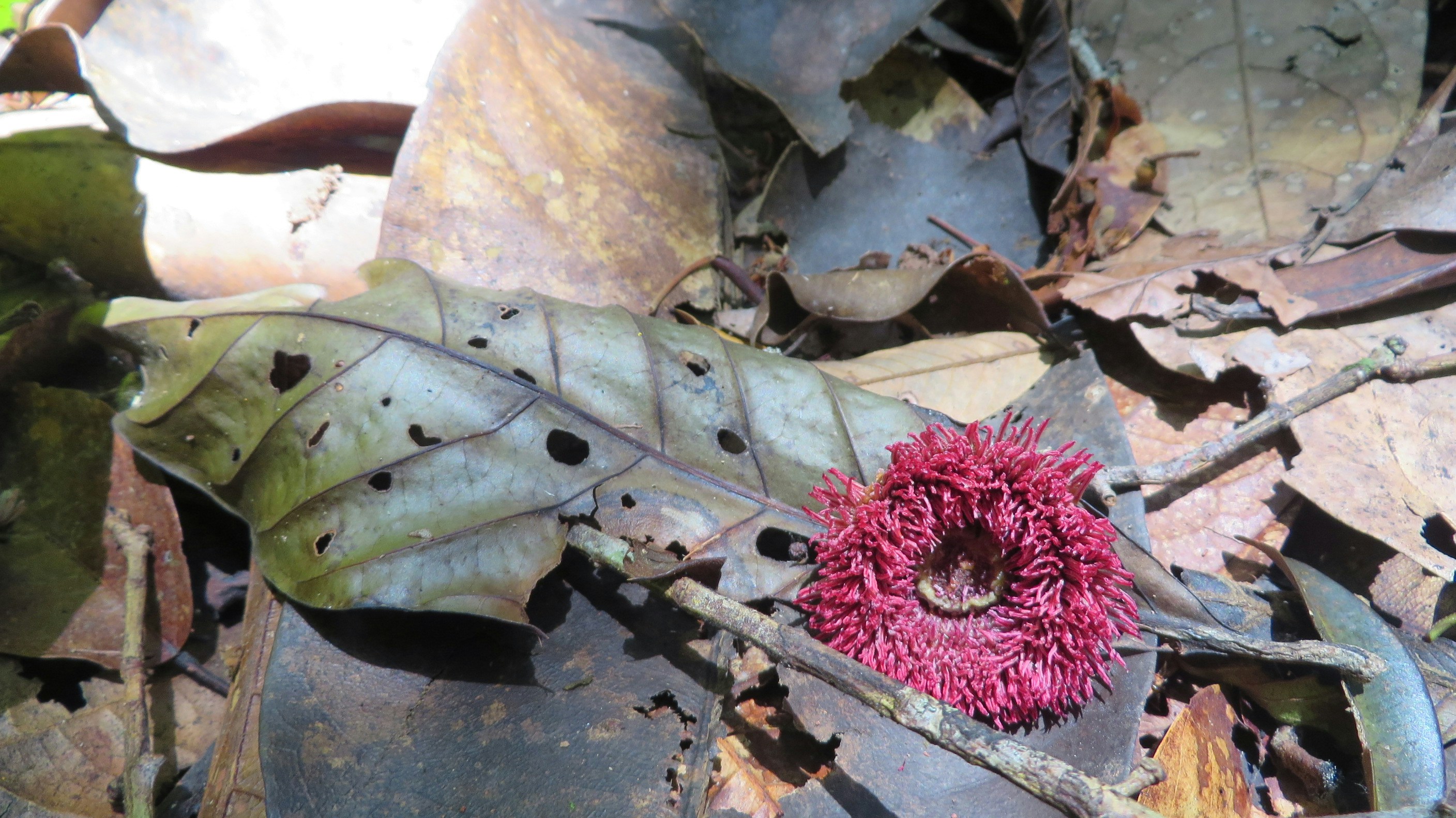 Free Unsplash photo from Karina Miotto