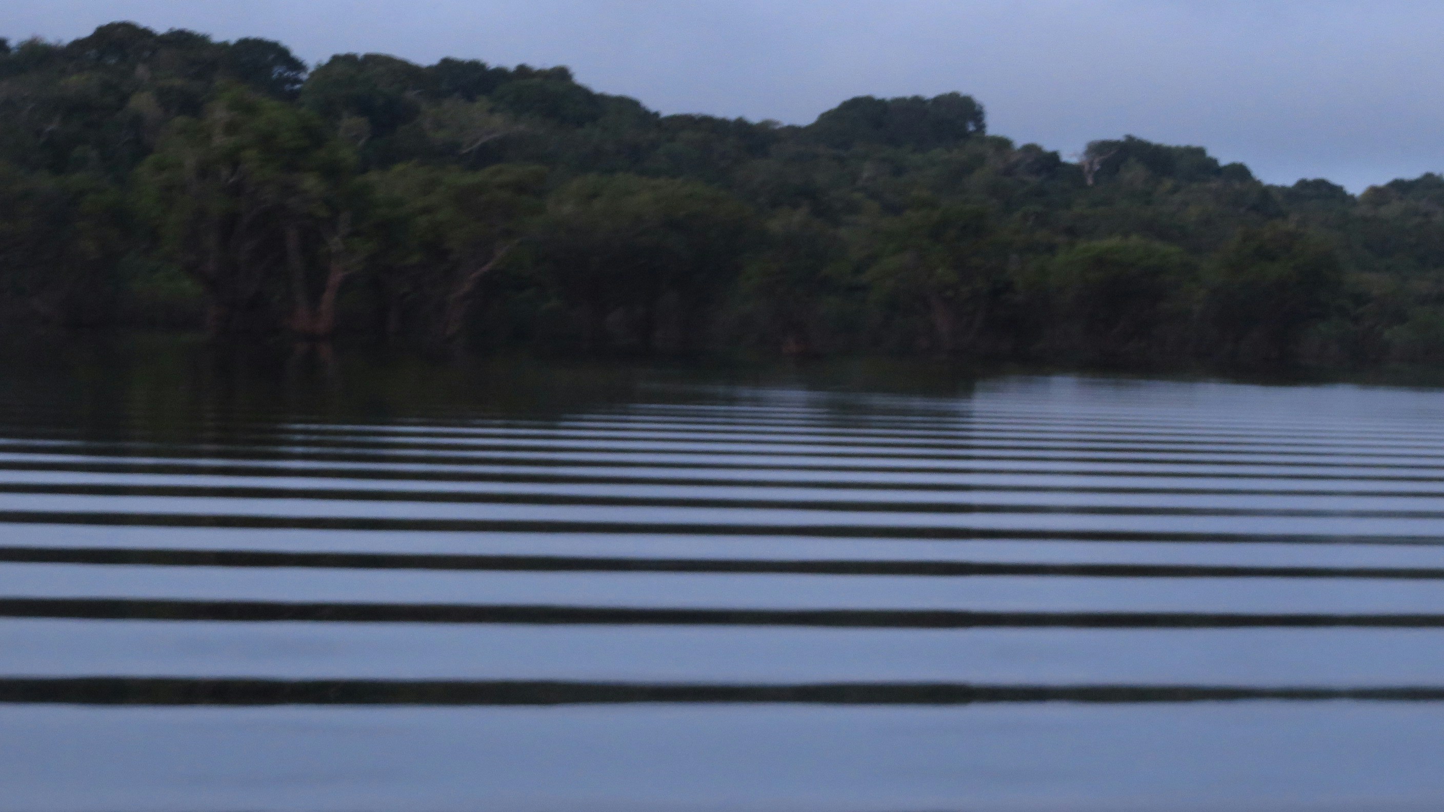 Free Unsplash photo from Karina Miotto