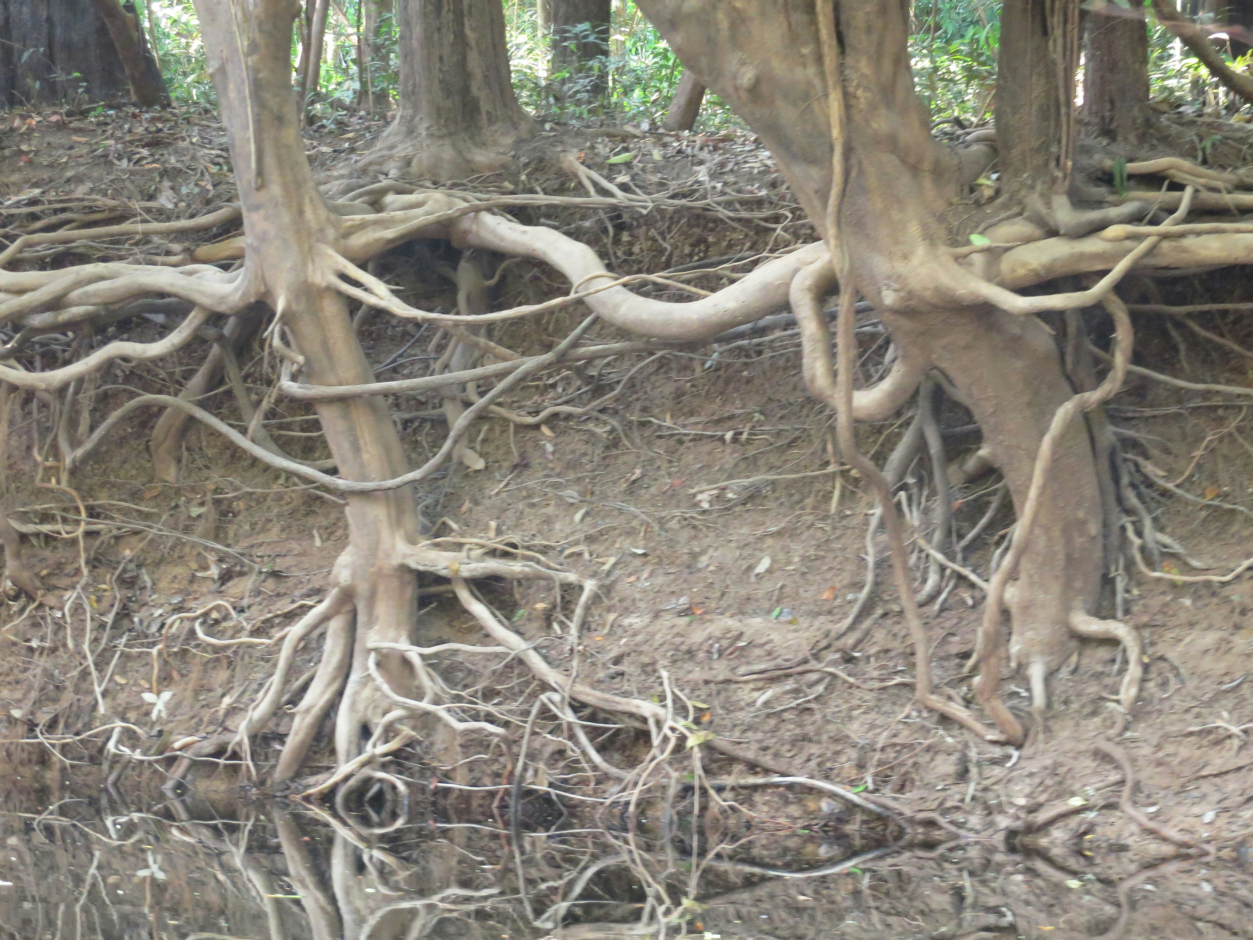 Free Unsplash photo from Karina Miotto