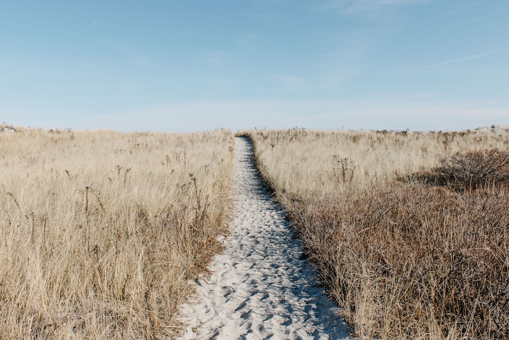 chemin de sable entourant l’herbe