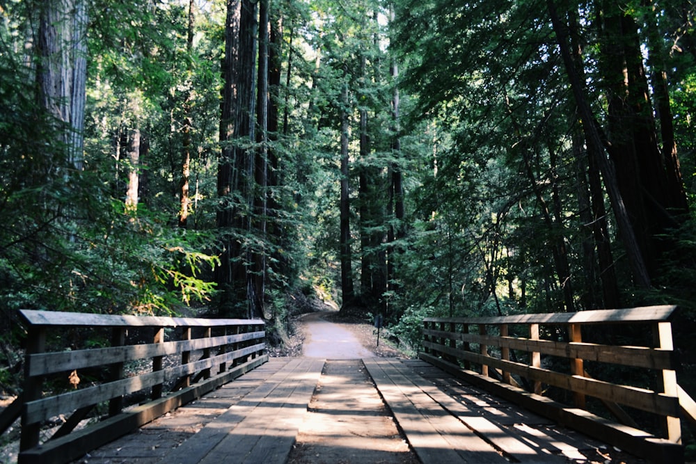 Braune Holzbrücke neben grünbelaubten Bäumen tagsüber