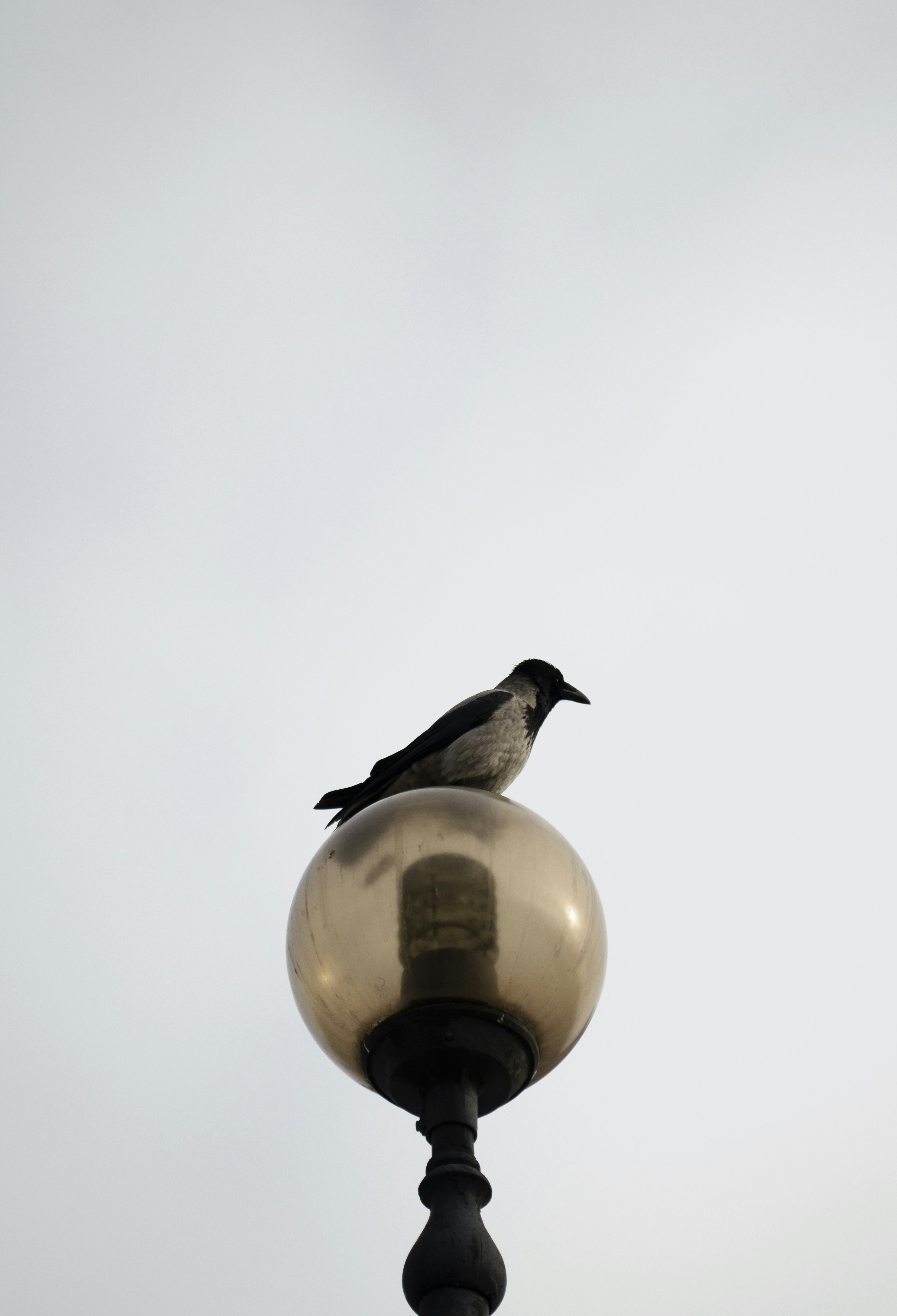 Free Unsplash photo from Daryna Mykhalchuk