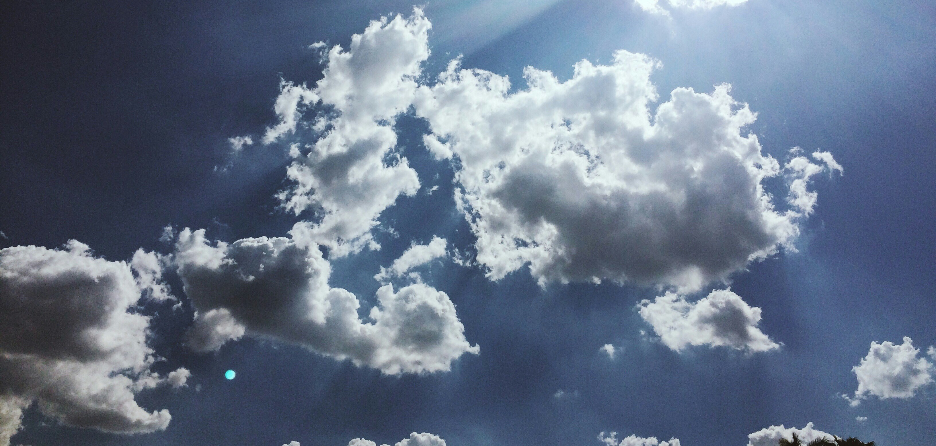 Free Unsplash photo from Gabriela Vital