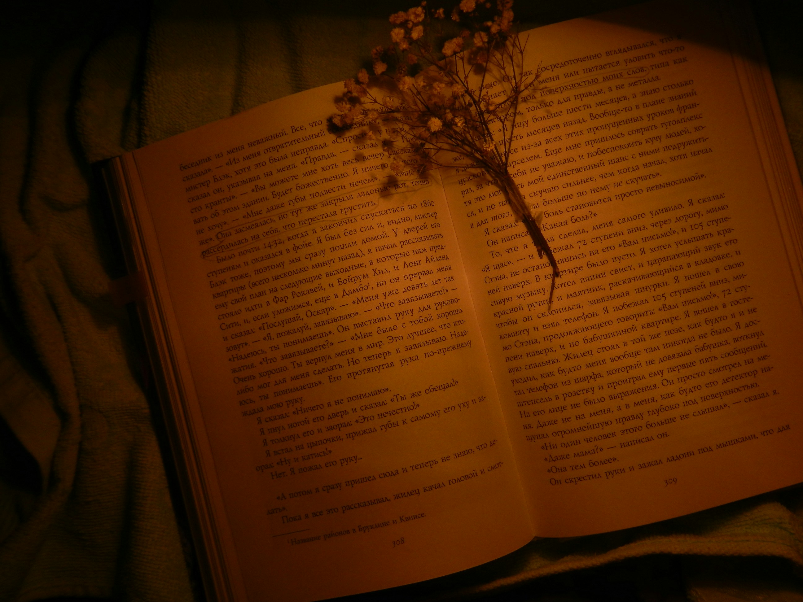 Free Unsplash photo from Anna Bulochkina