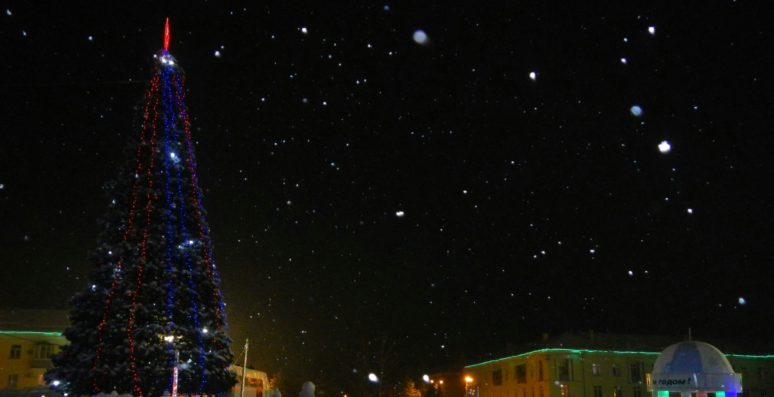 Free Unsplash photo from Anna Bulochkina