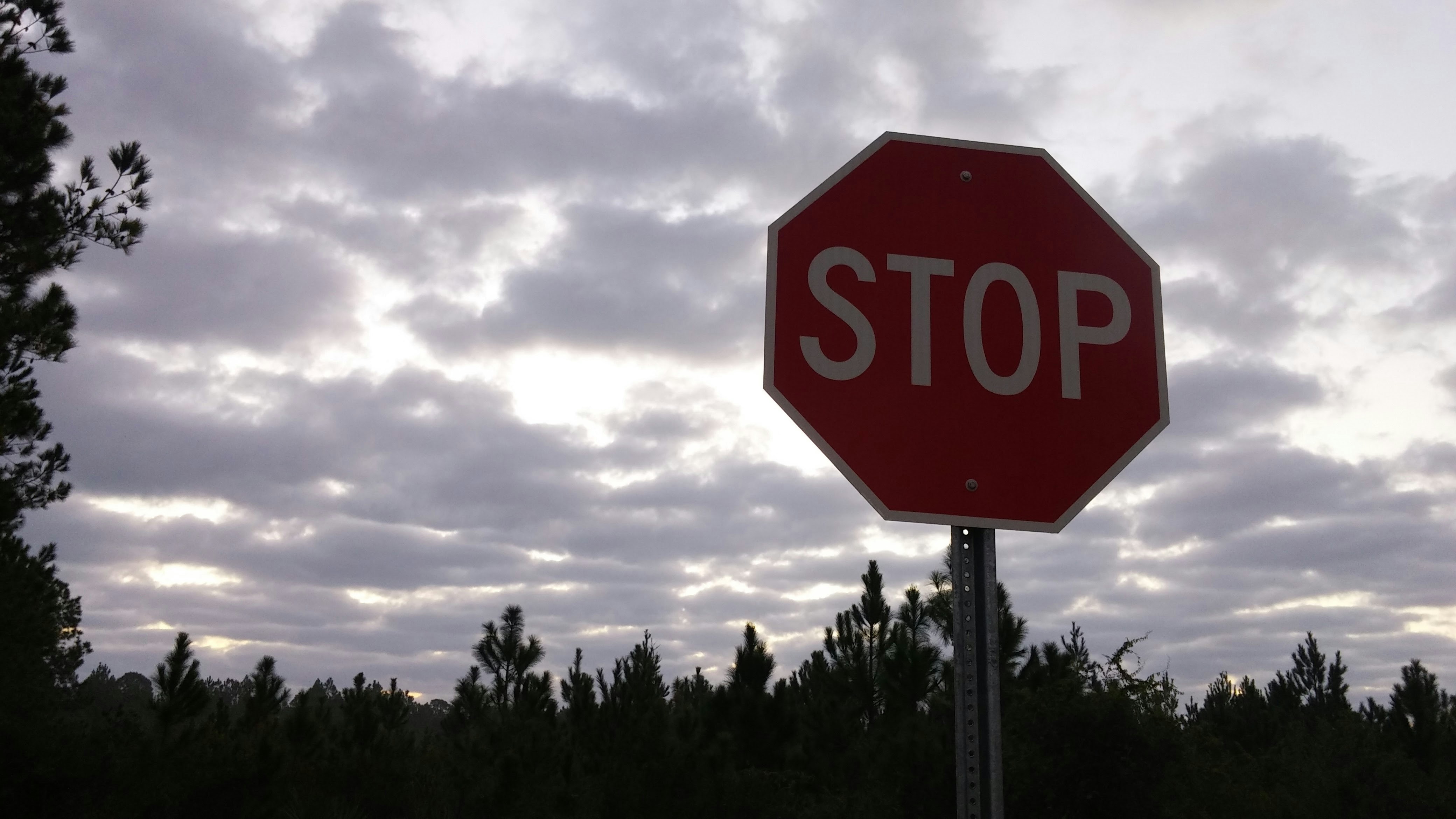 Free Unsplash photo from Amanda  Moore