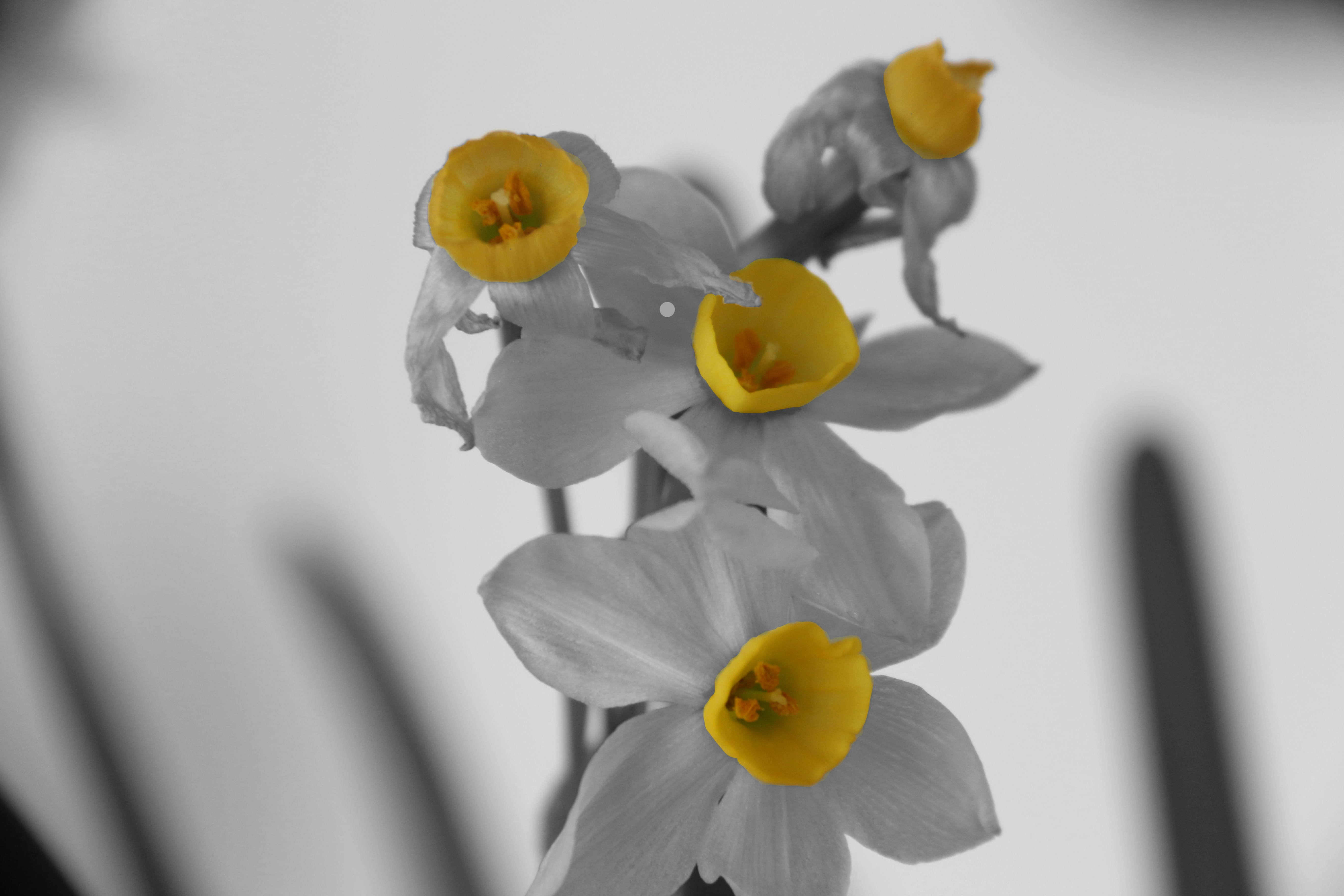 Free Unsplash photo from Stephanie Tea