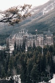 A grand, historic castle-like hotel is nestled among dense, evergreen forests with snowy mountains towering behind it. A Canadian flag is visible on top of the building, indicating its location. A large tree branch extends across the foreground, adding depth to the scene.